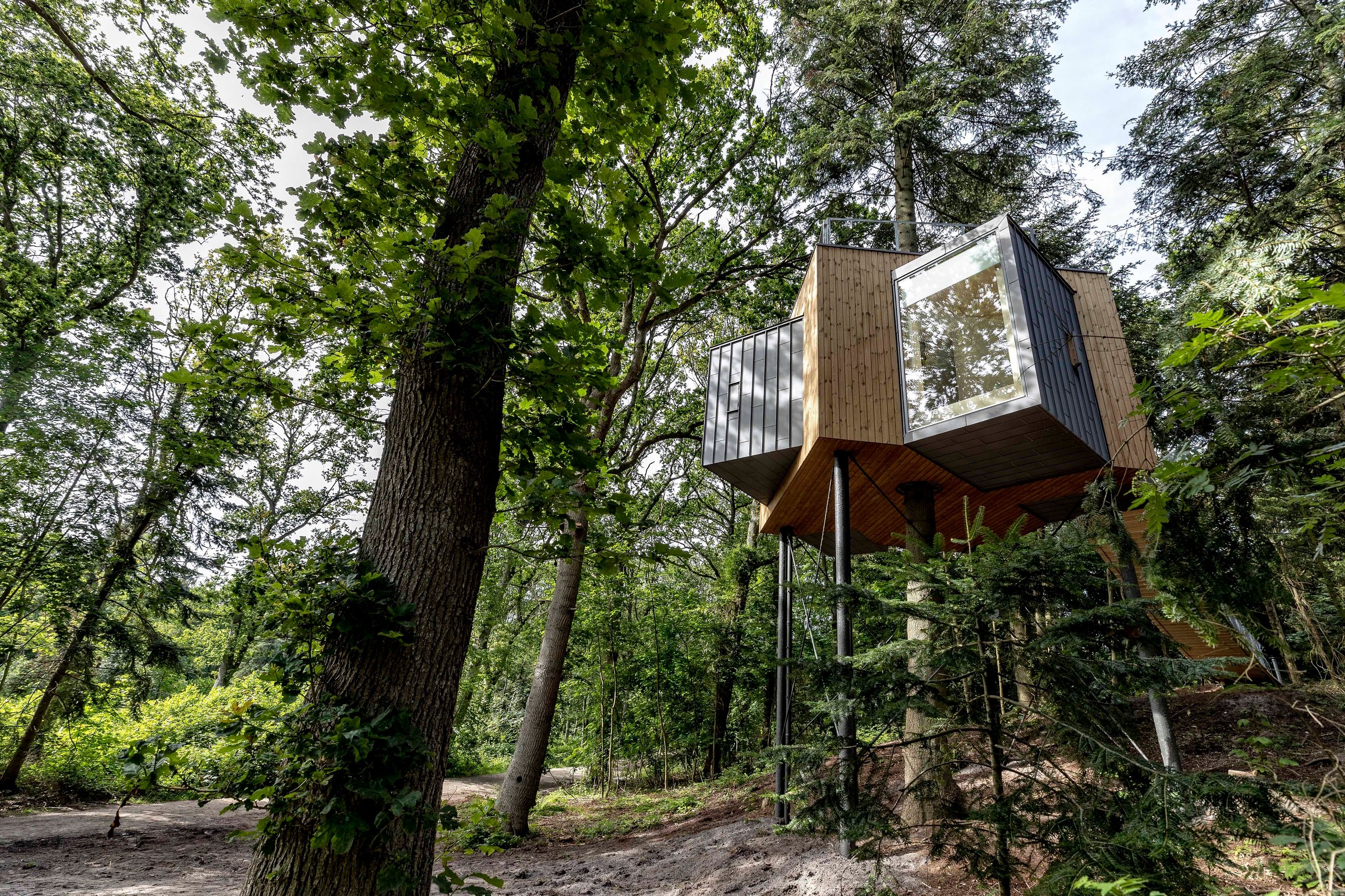 Lovtag Treetop Cabins