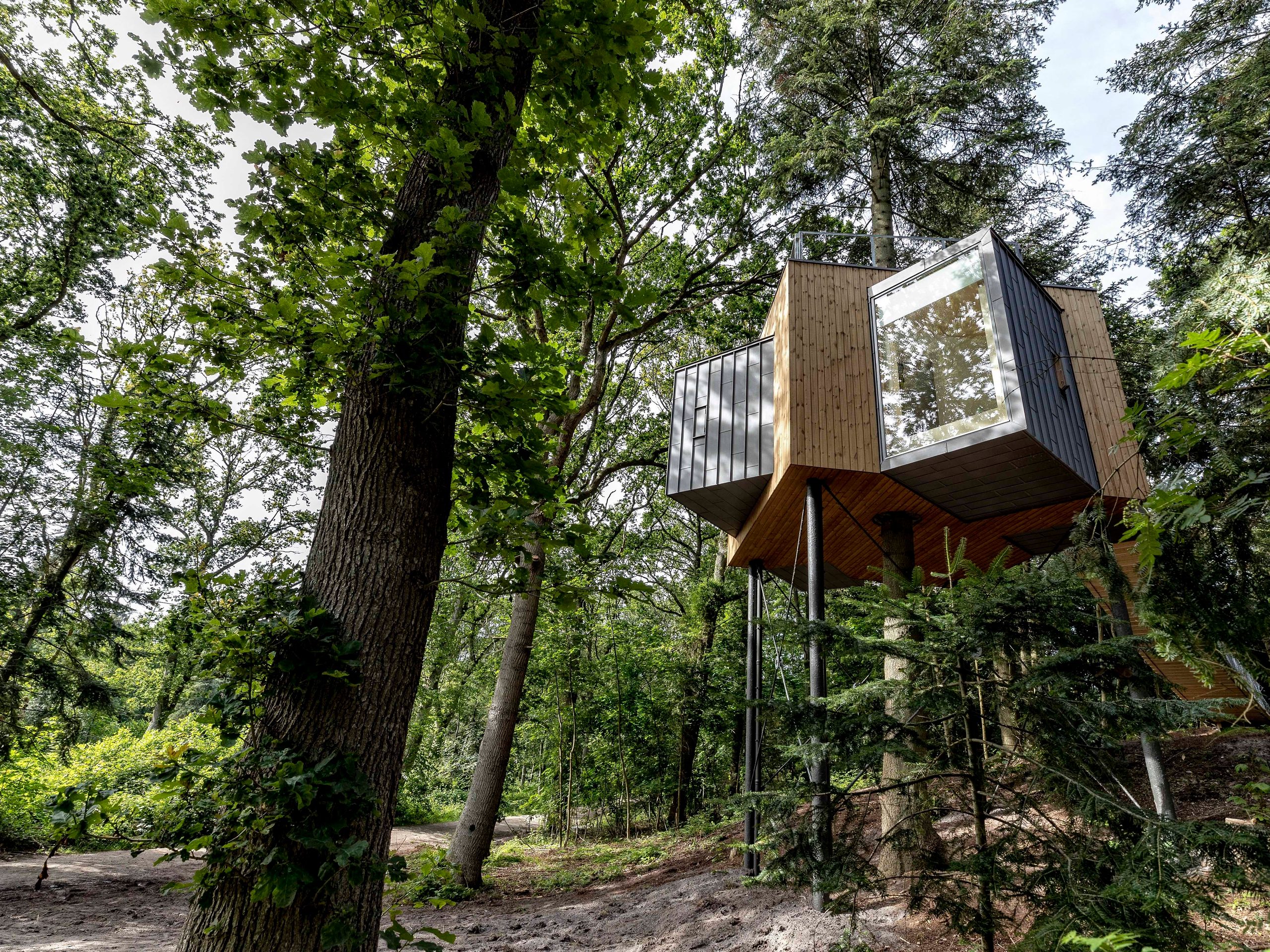 Lovtag Treetop Cabins