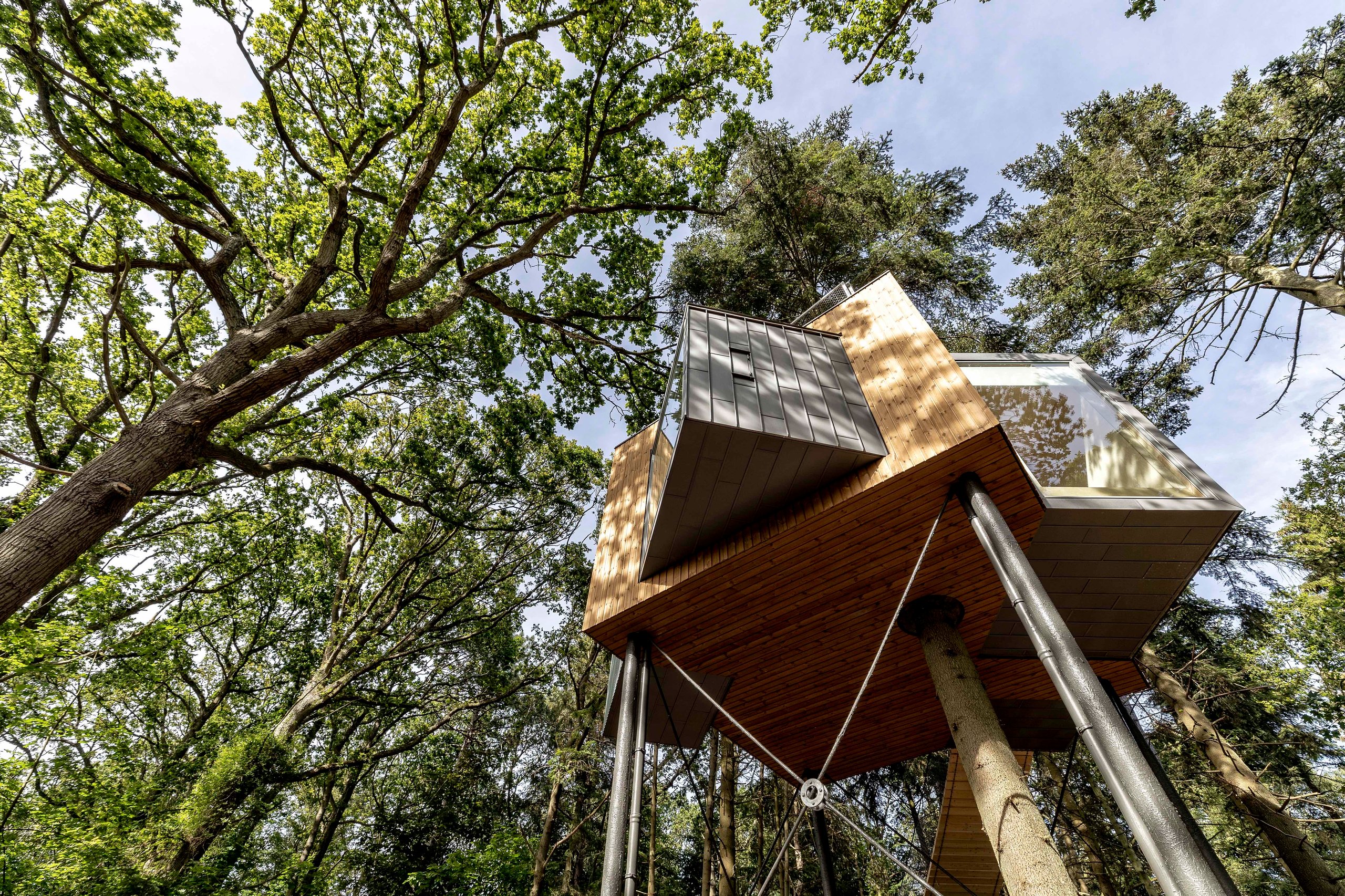Løvtag Treetop Cabins