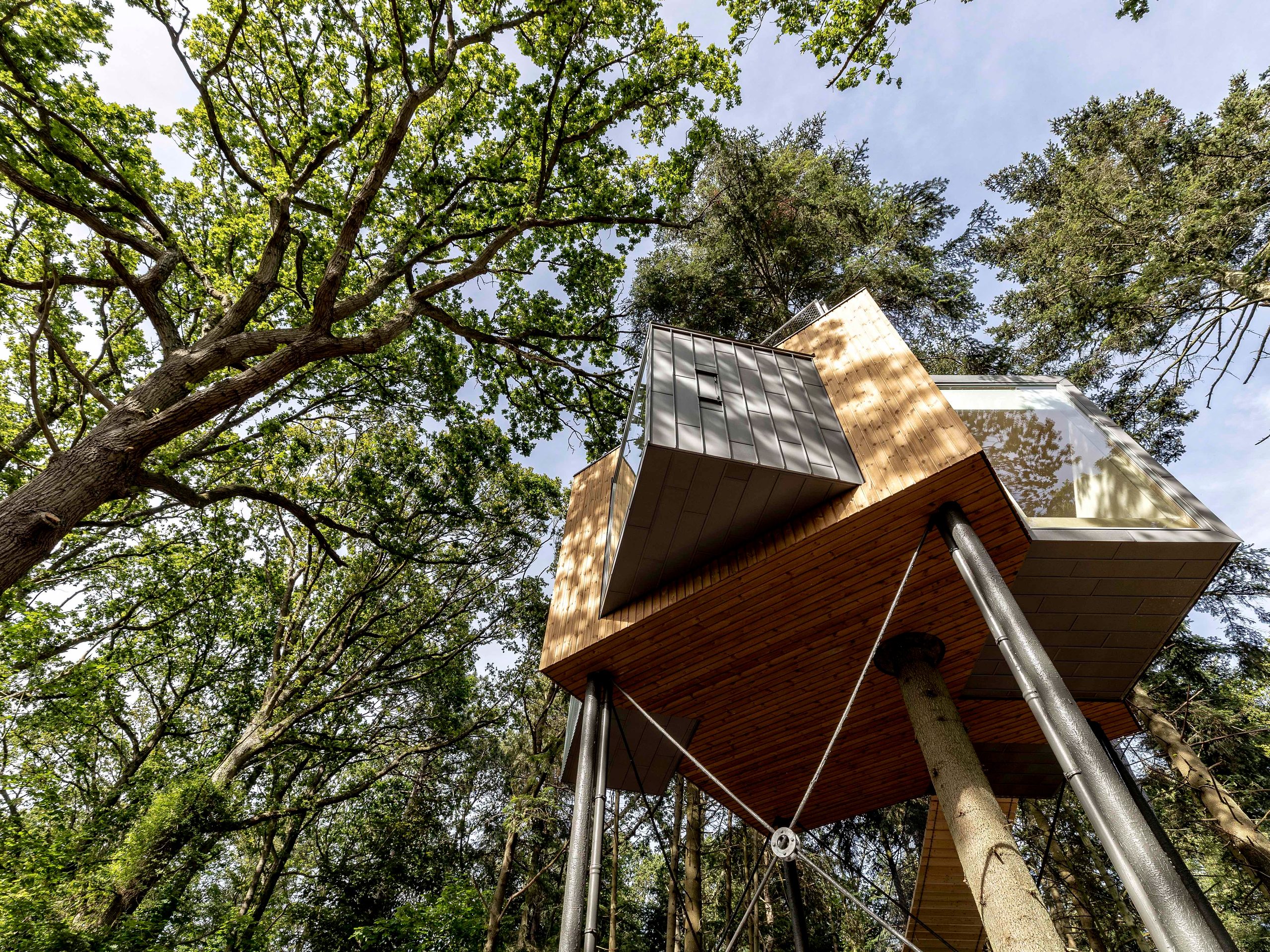 Løvtag Treetop Cabins