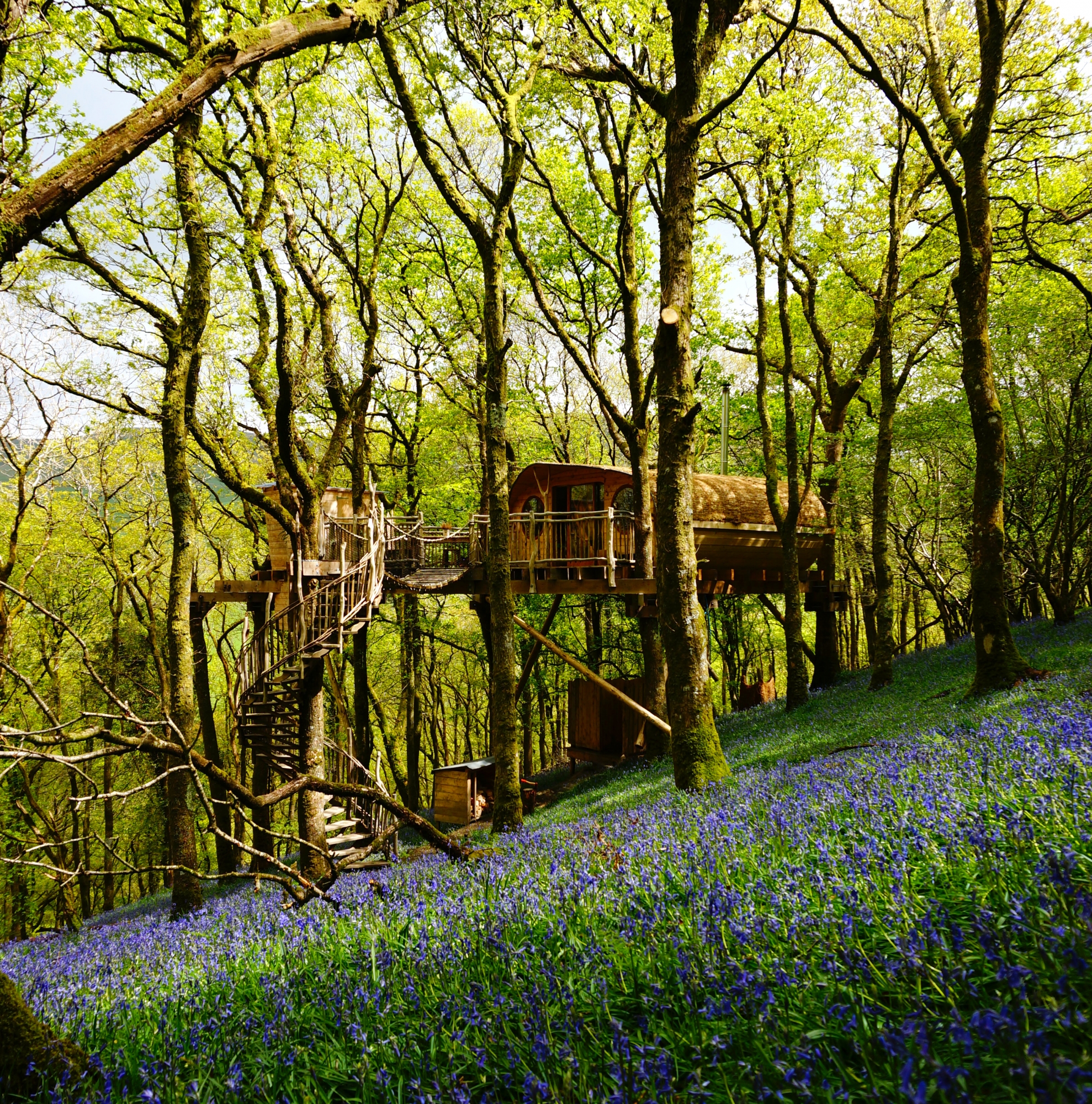 Living Room Treehouses