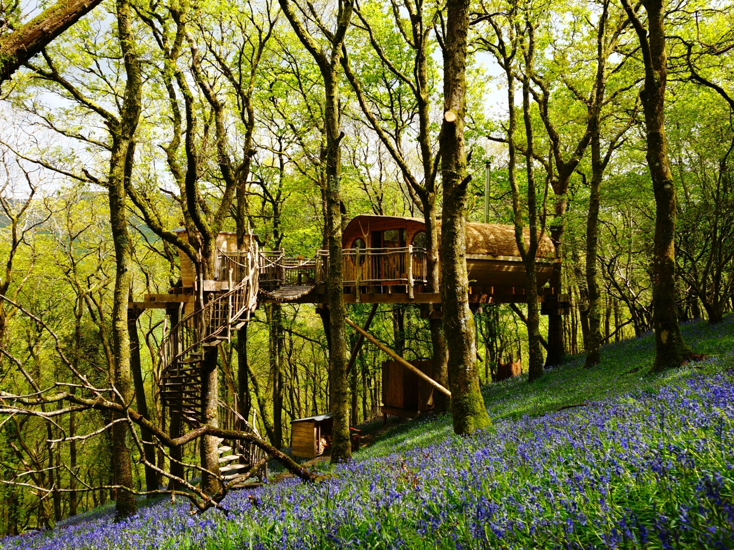 Living Room Treehouses