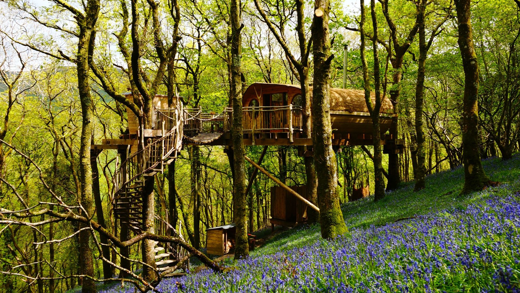 Living Room Treehouses