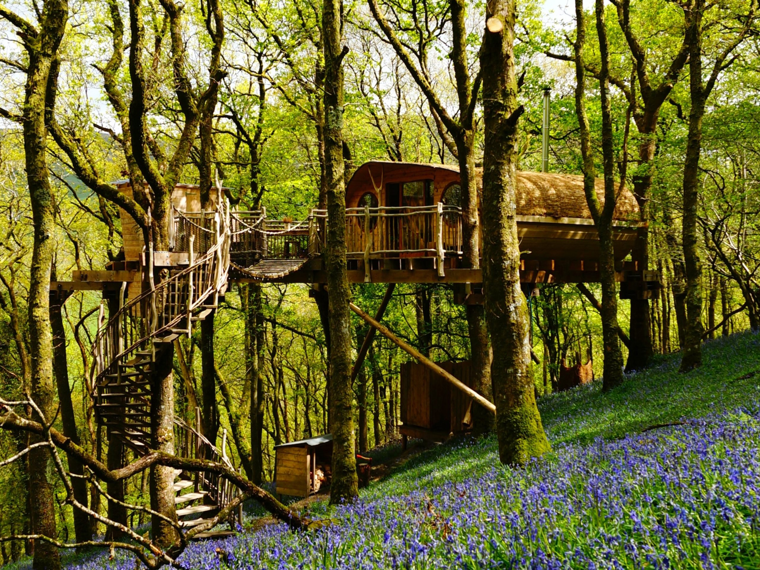 Living Room Treehouses