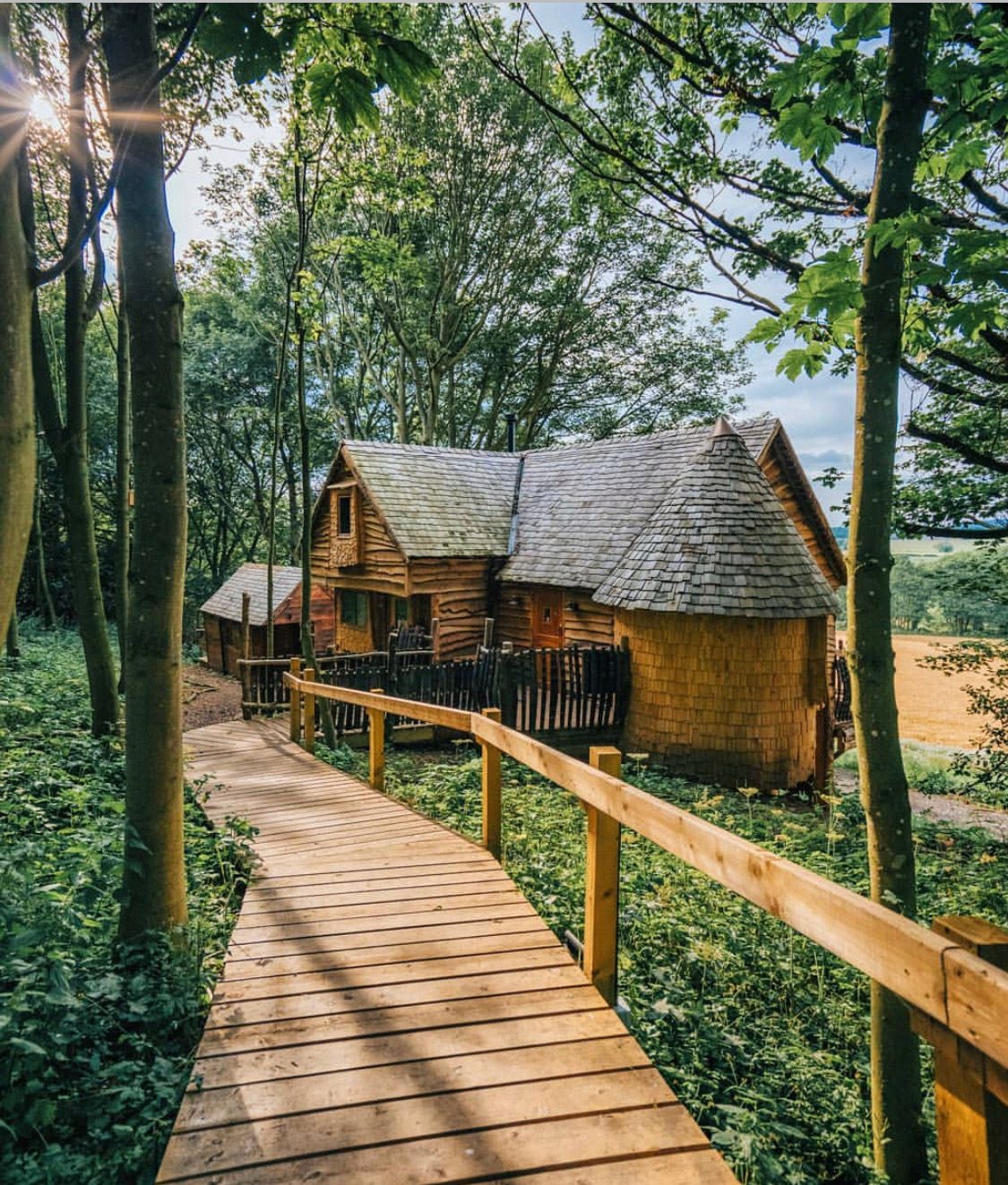 Rufus' Roost - Image 1
