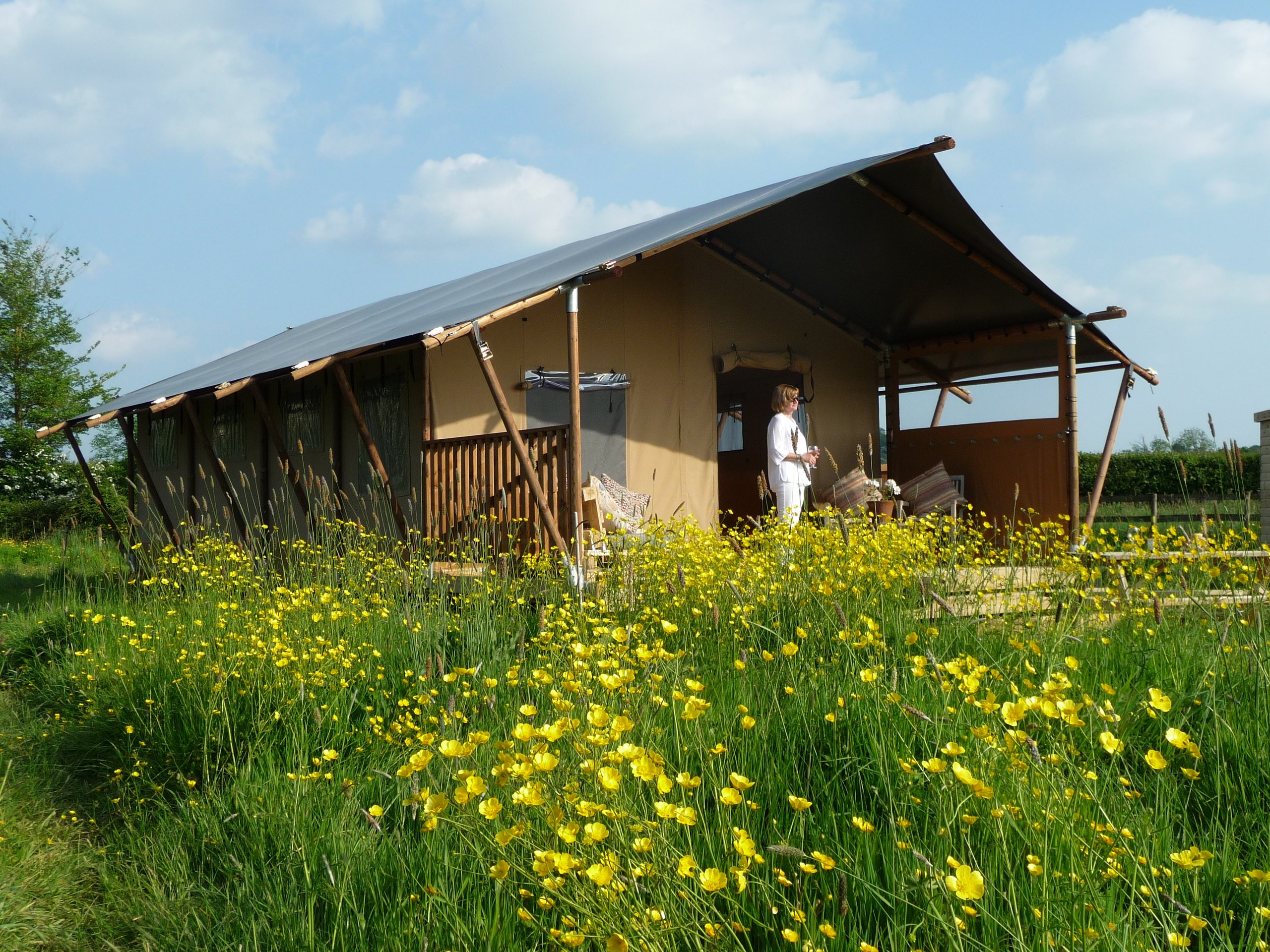 Tall Trees Glamping