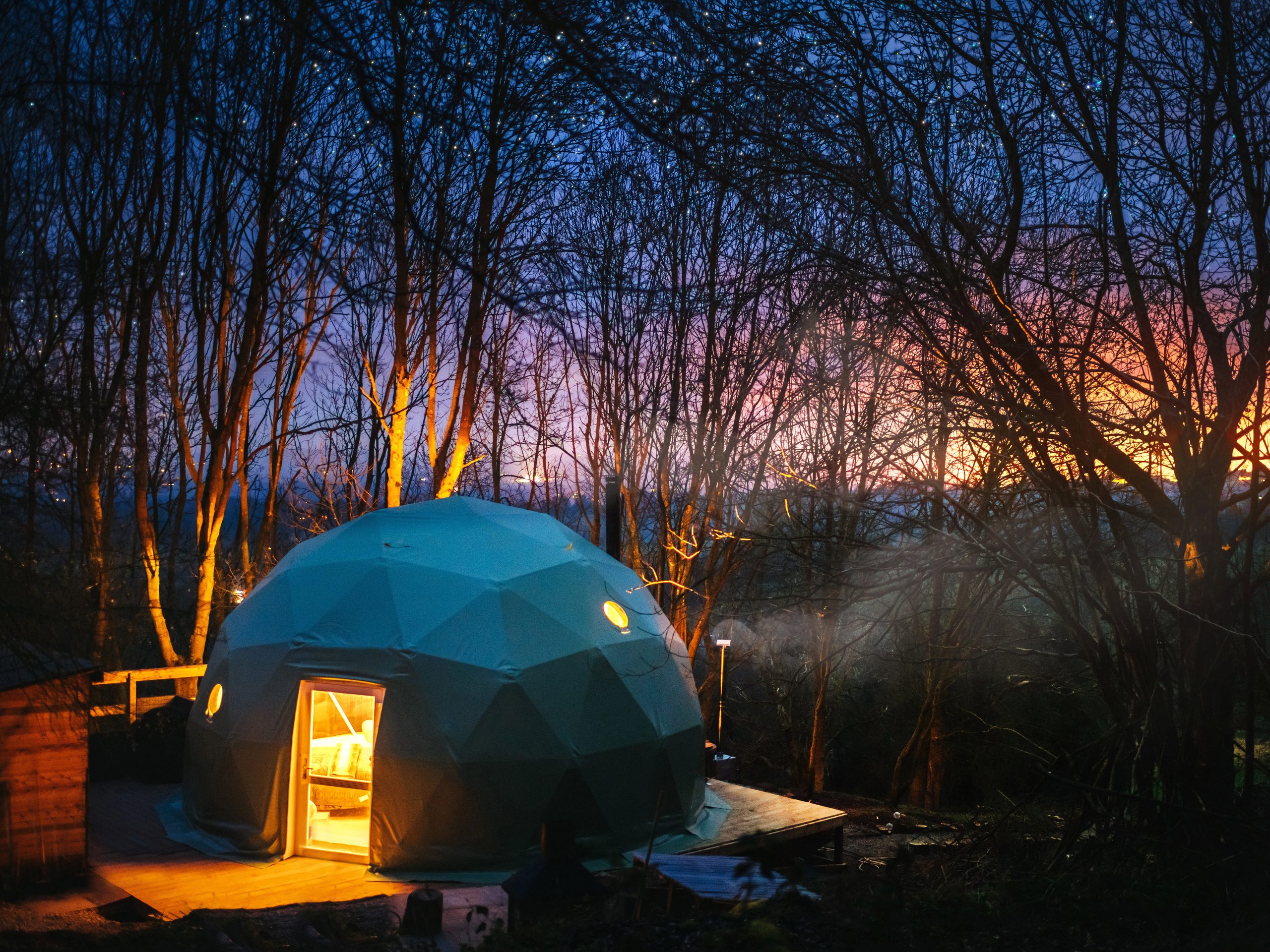 Tree Dome