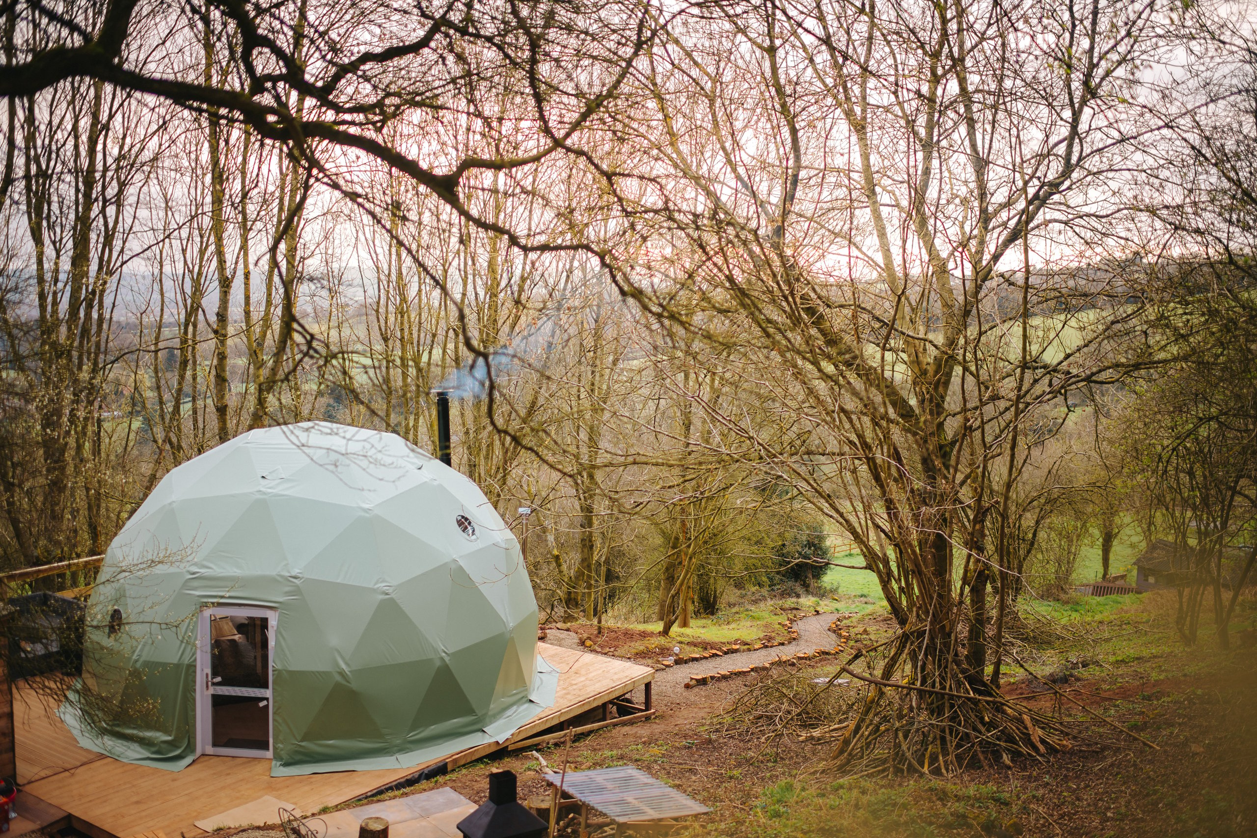 The Tree Dome