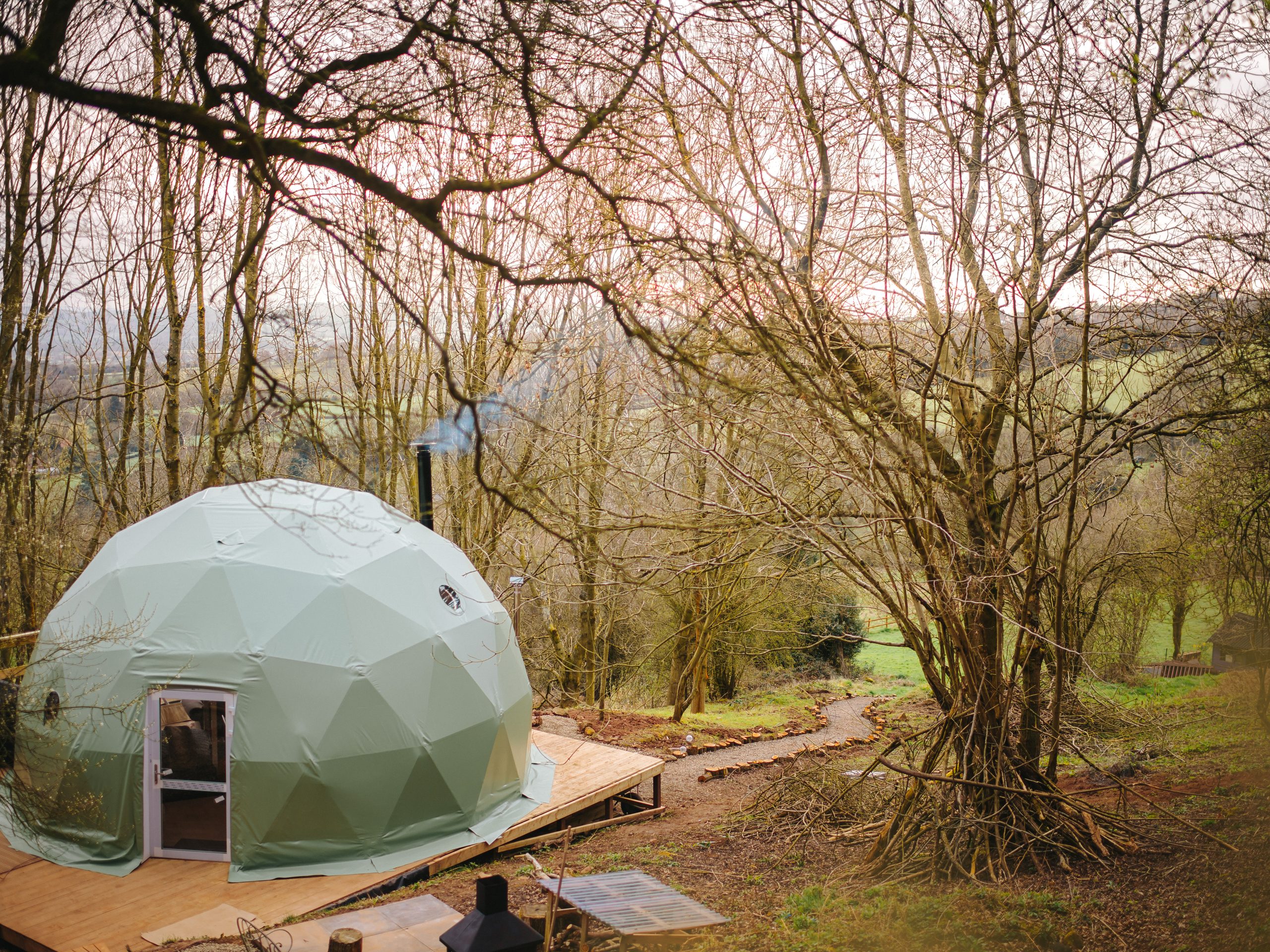 The Tree Dome