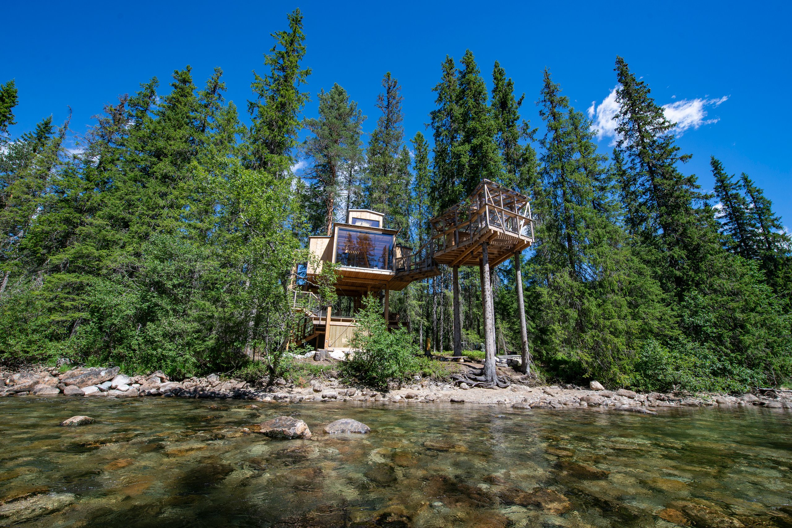 A Auge Treehouse