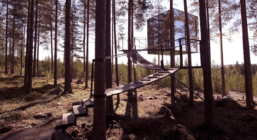 Tree Hotel