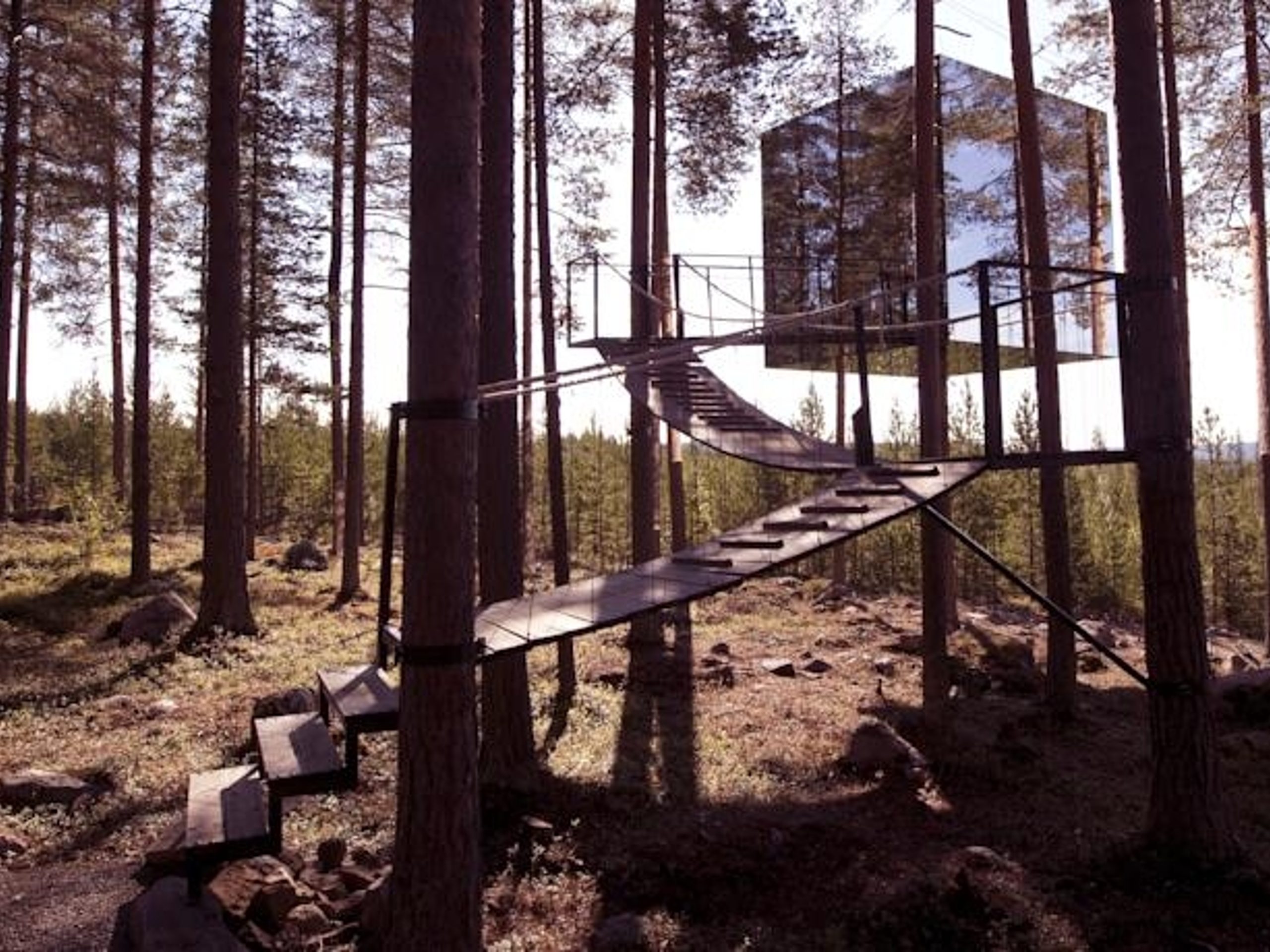 Tree Hotel