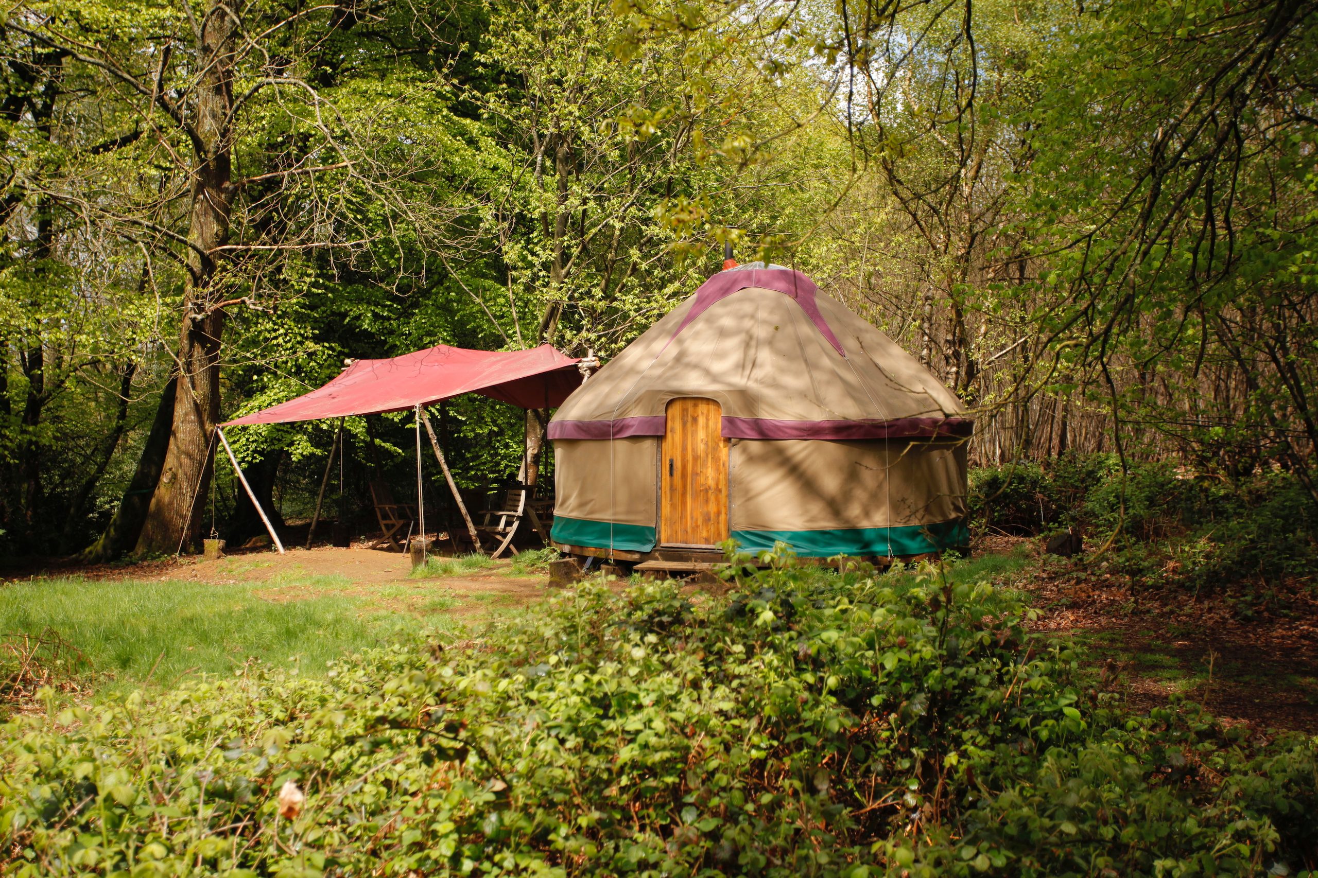 Adhurst Yurts - Image 1