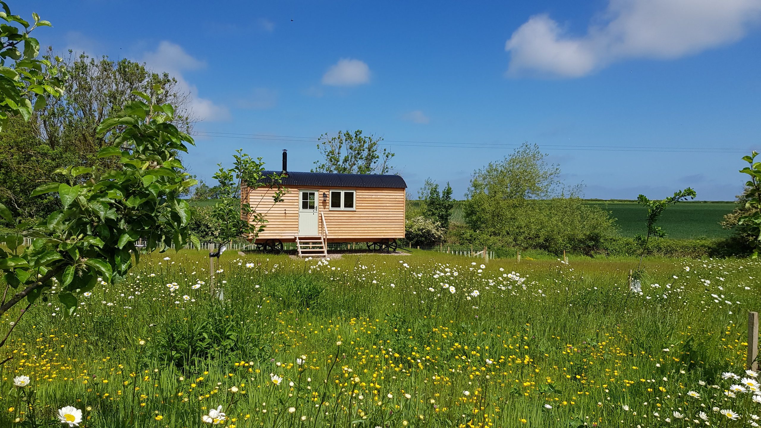 Hunting Hall Shepherd's Hut - Image 1