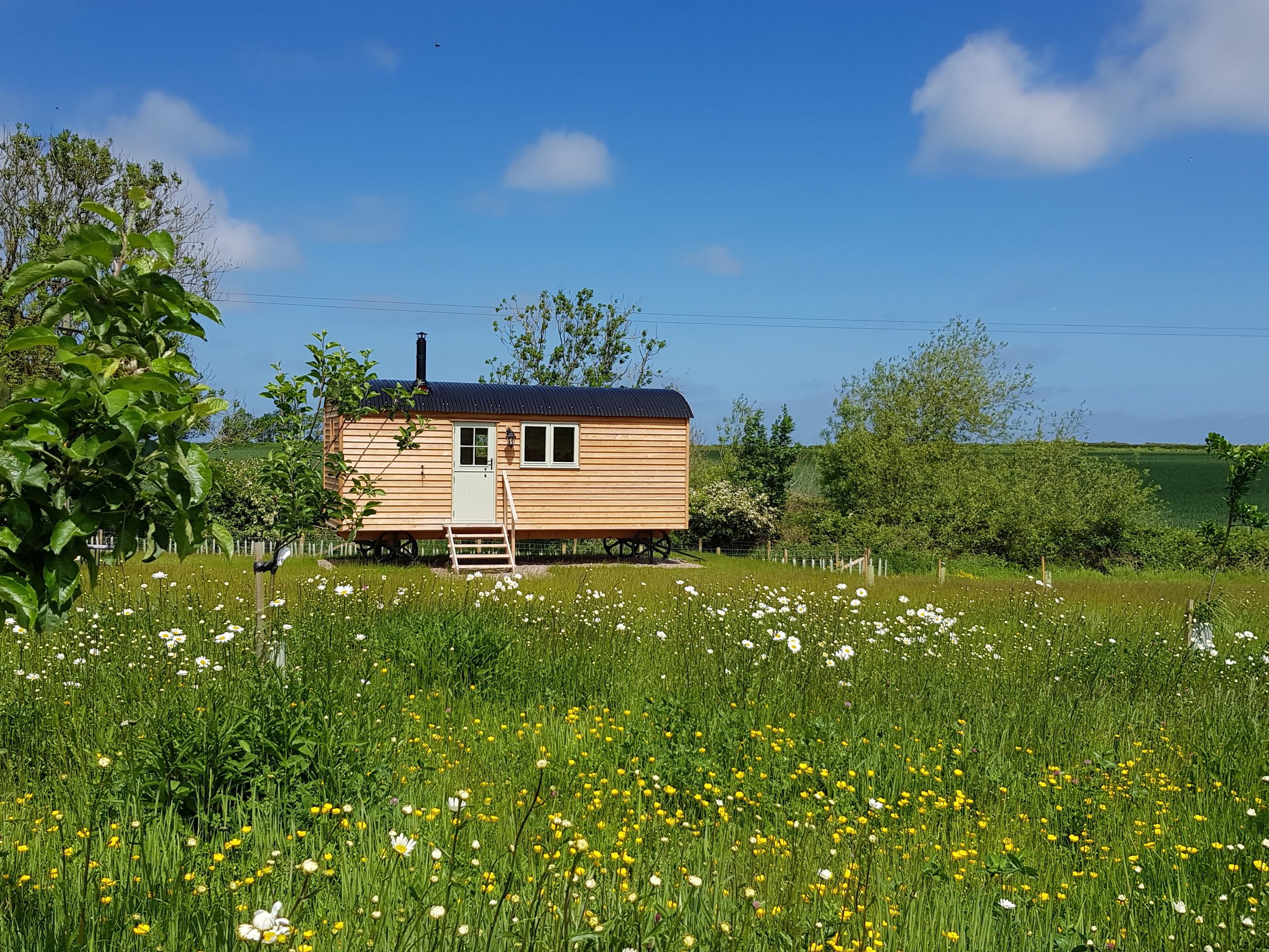 Hunting Hall Shepherd's Hut