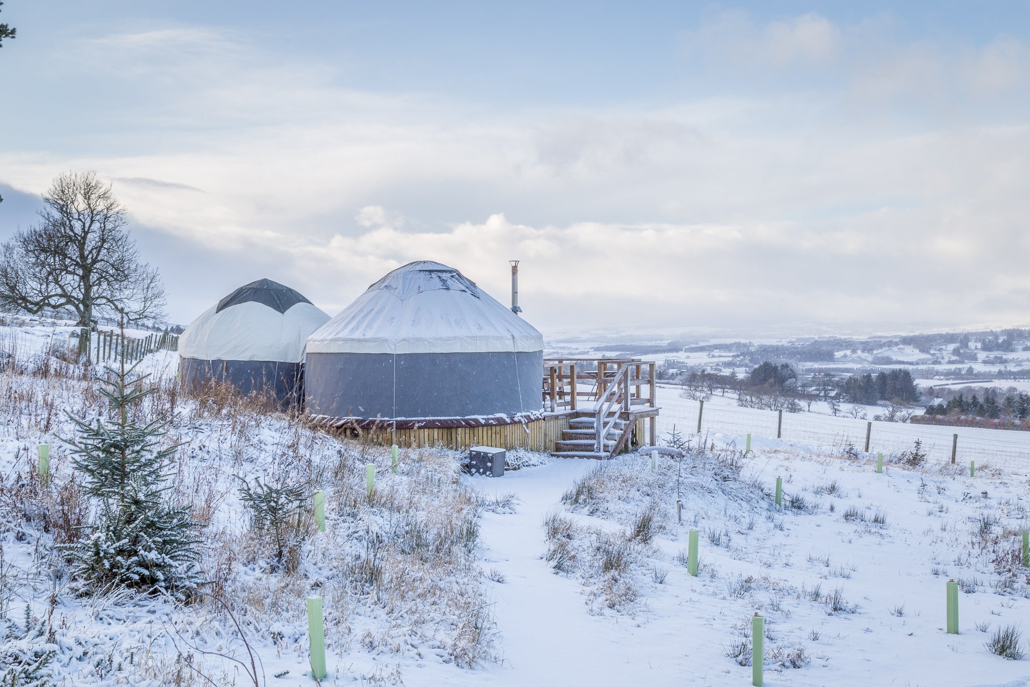 Alexander House Glamping
