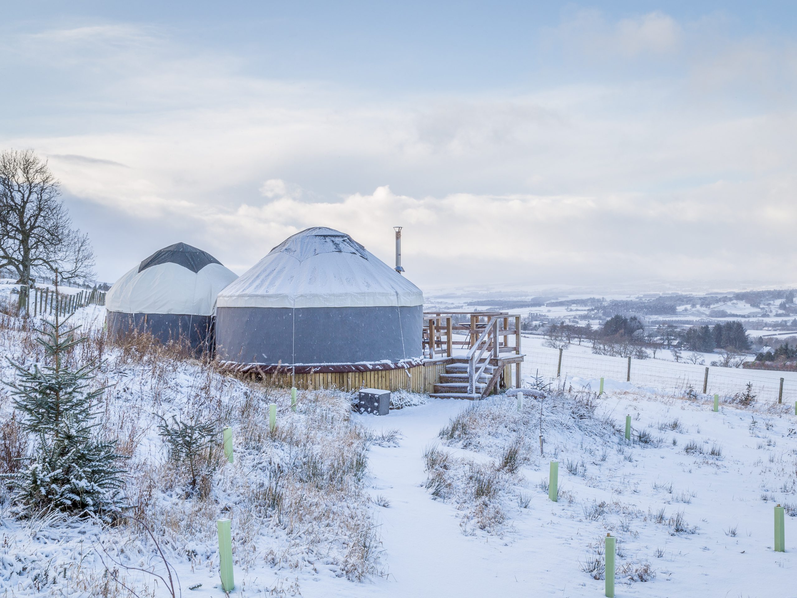 Alexander House Glamping