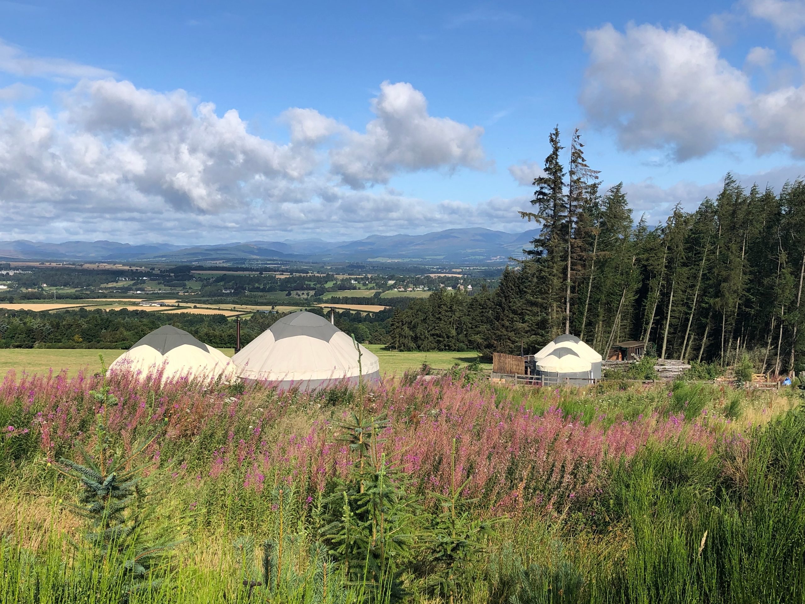 Alexander House Glamping