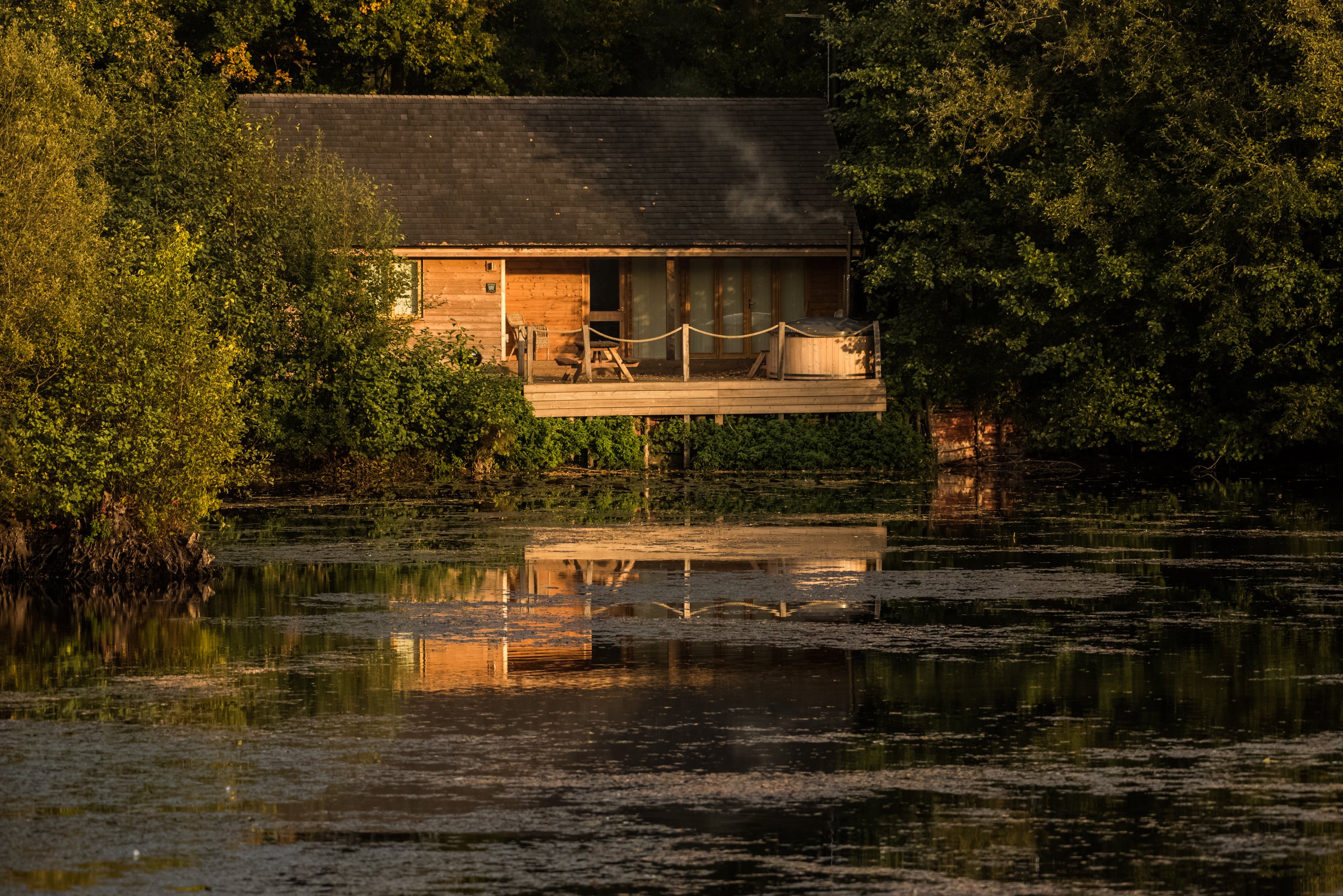 Water Lily Lodge