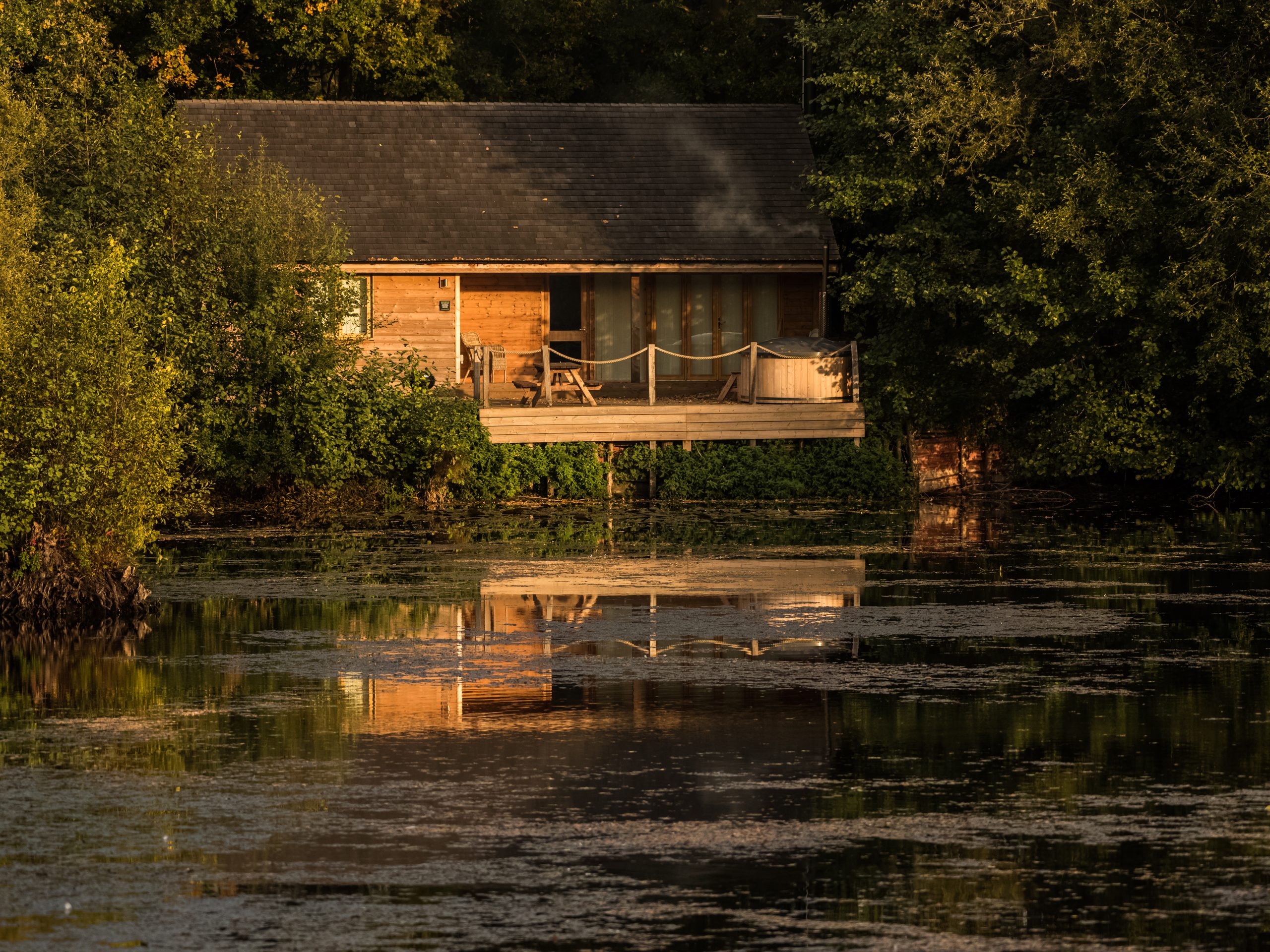 Water Lily Lodge