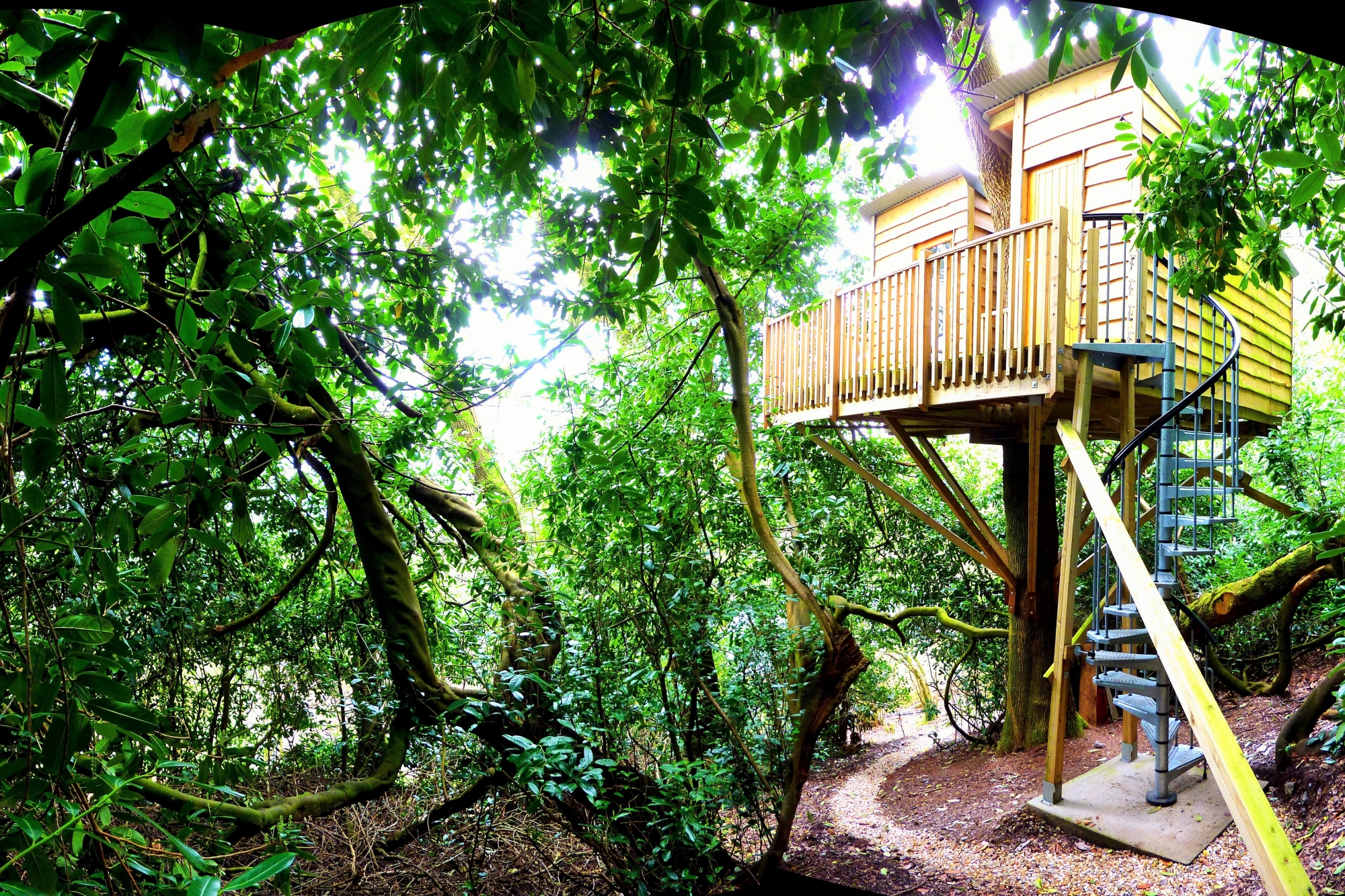 The Nest Treehouse