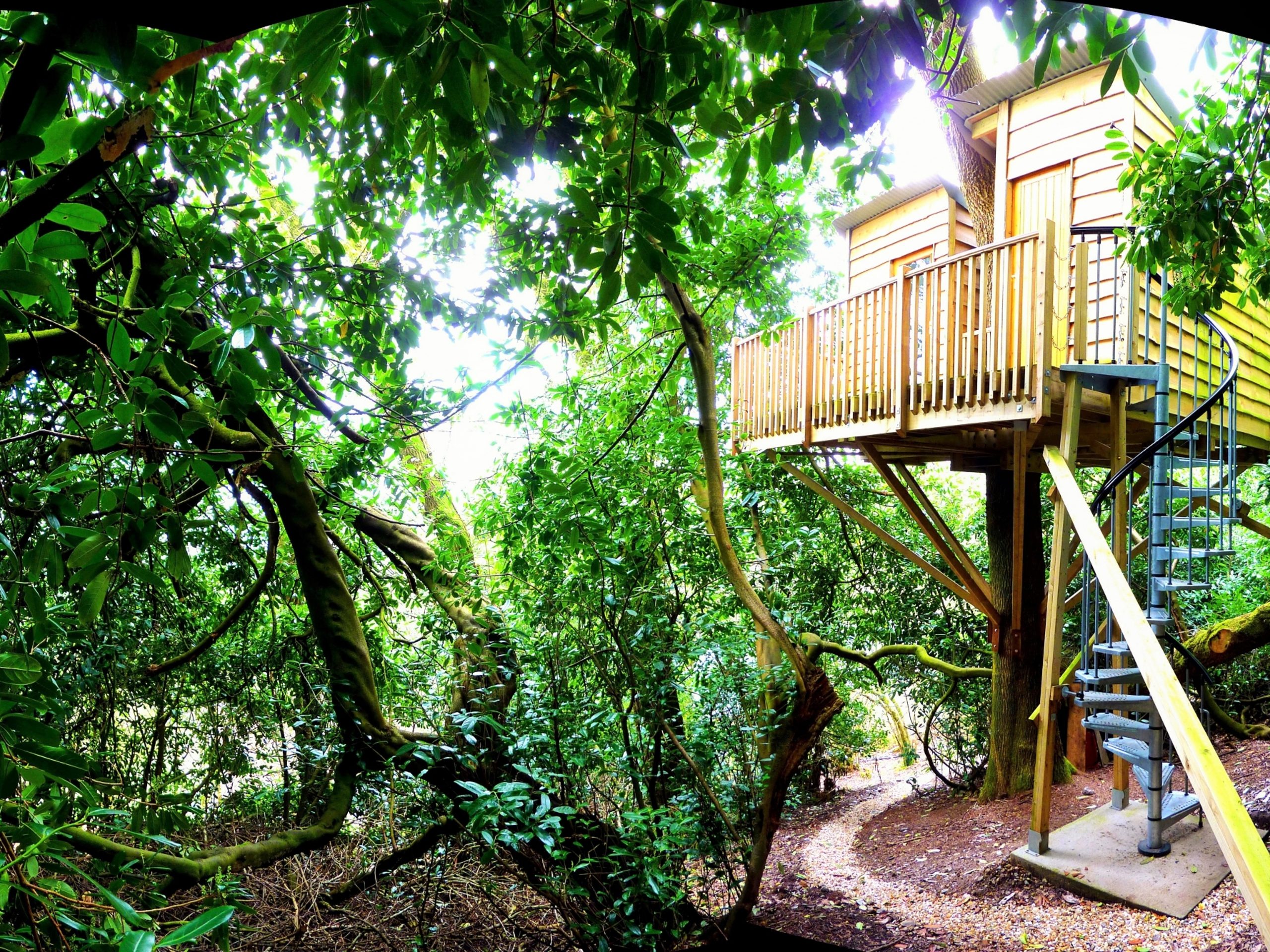 The Nest Treehouse
