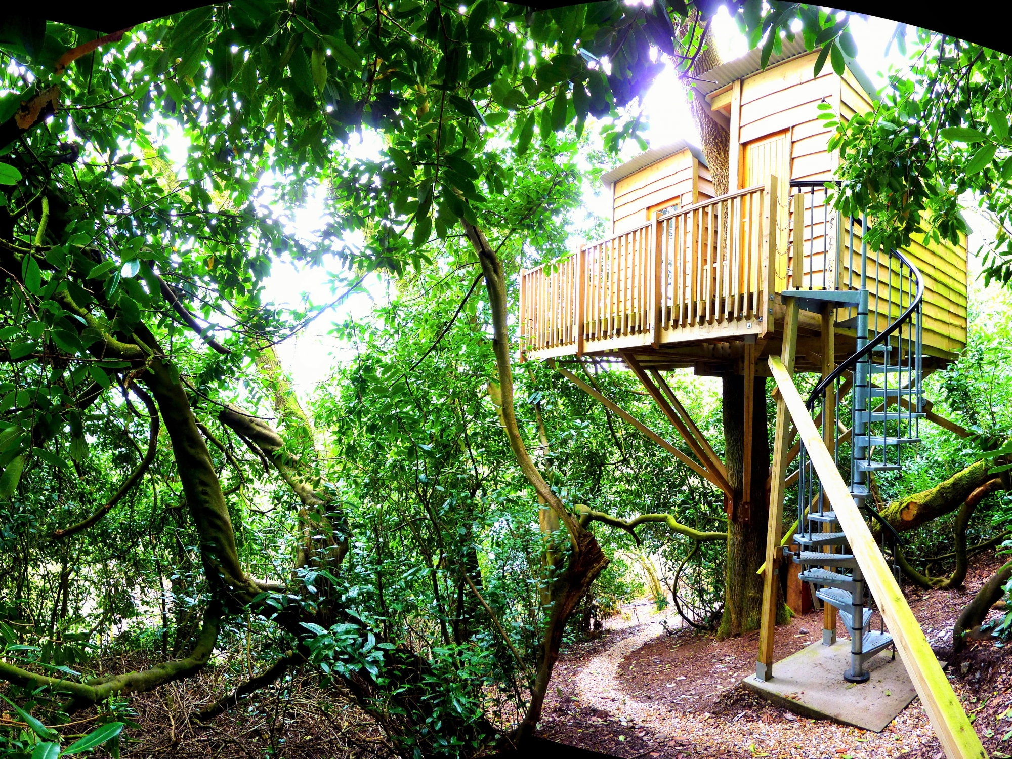 The Nest Treehouse