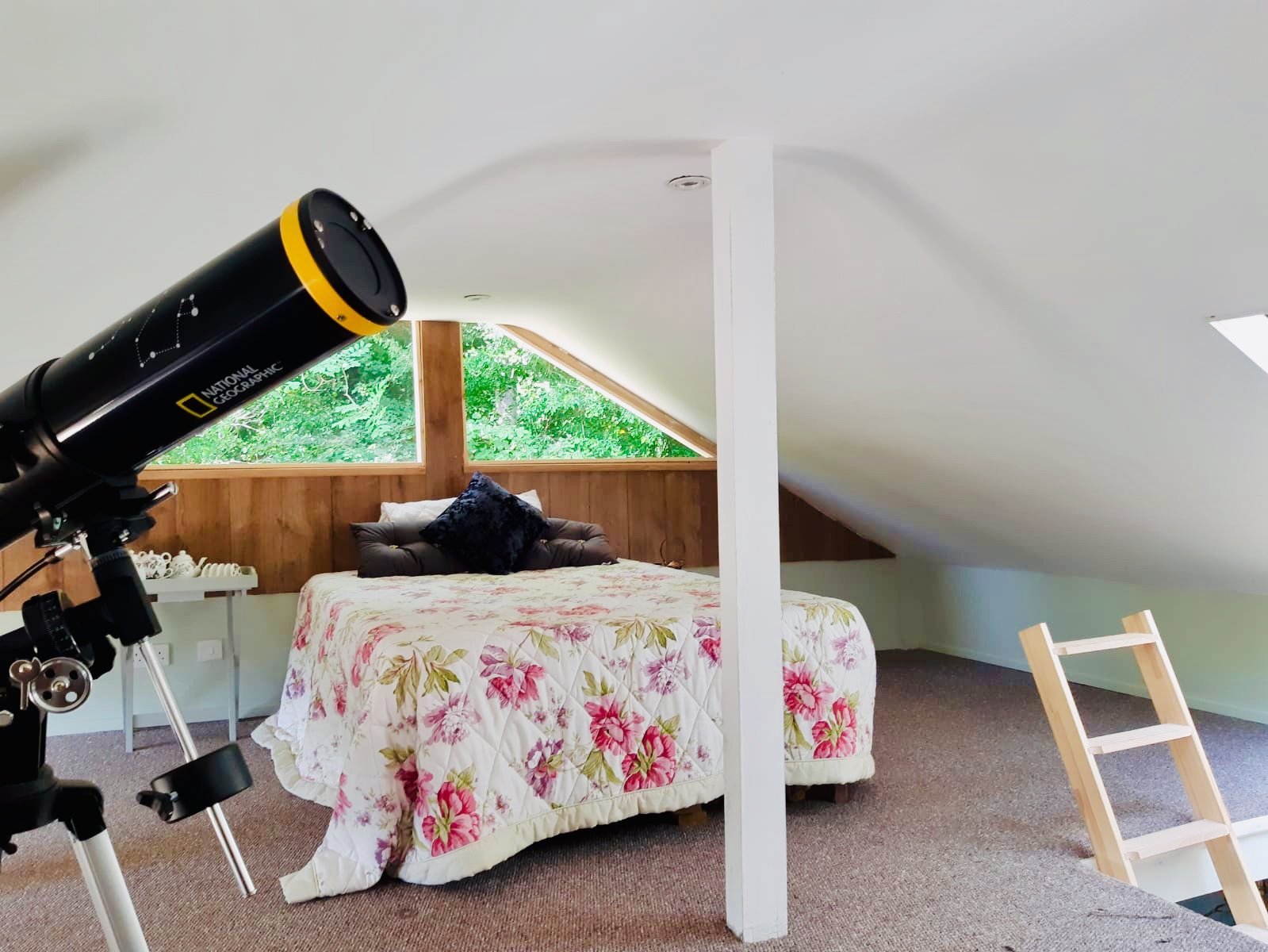 Star Gazing Tree House