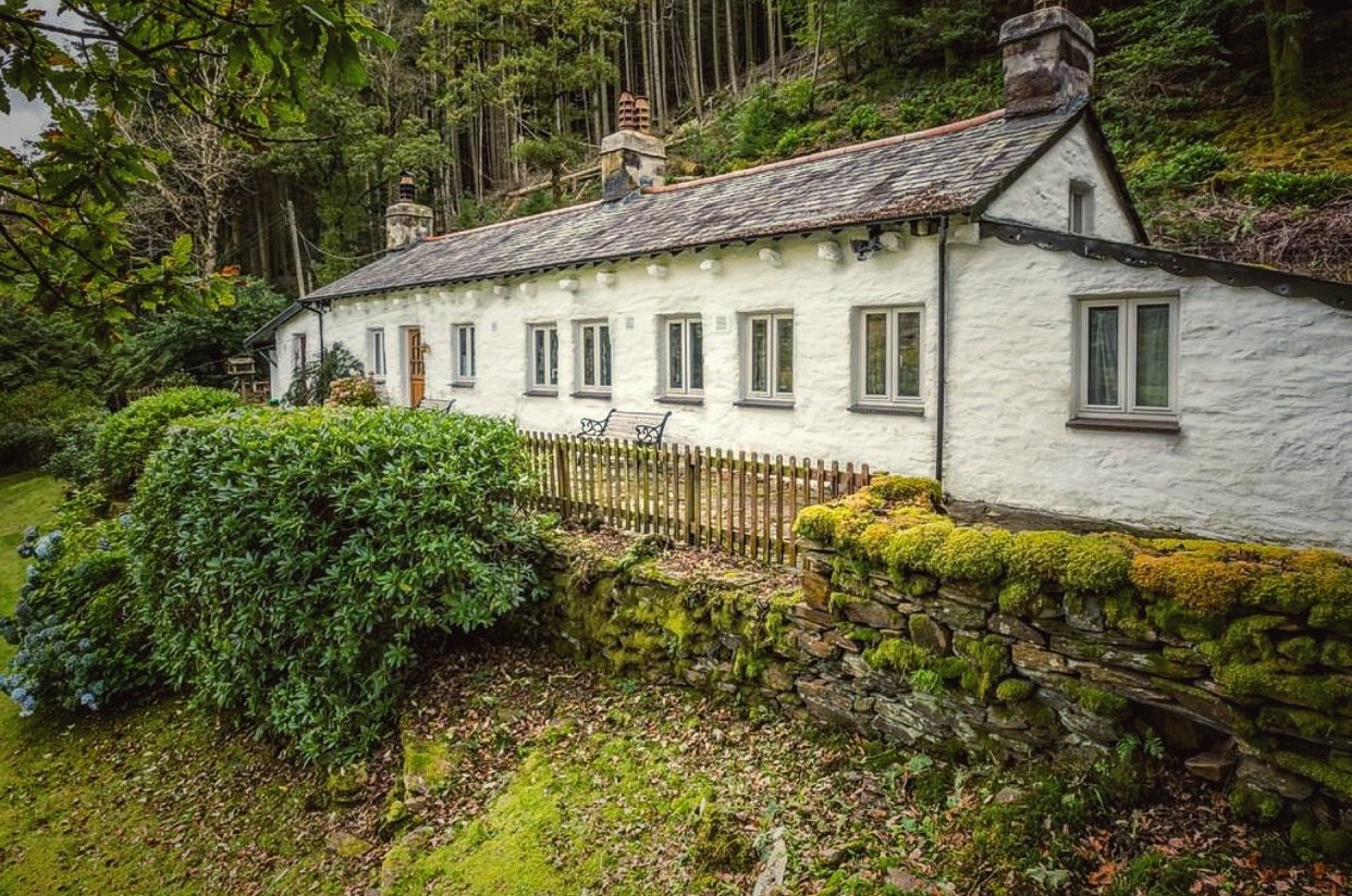 Celyn Snowdonia