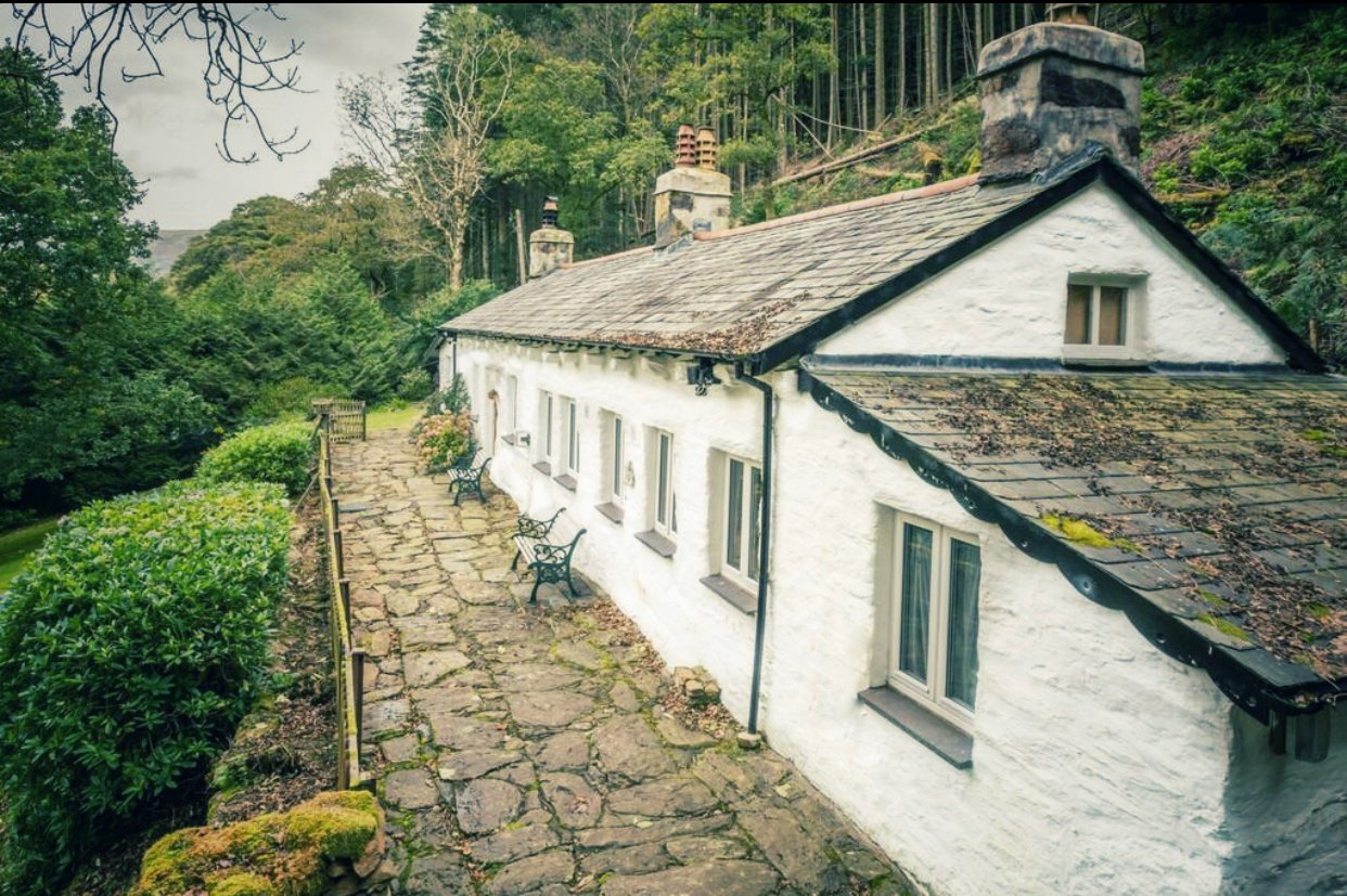 Celyn Snowdonia