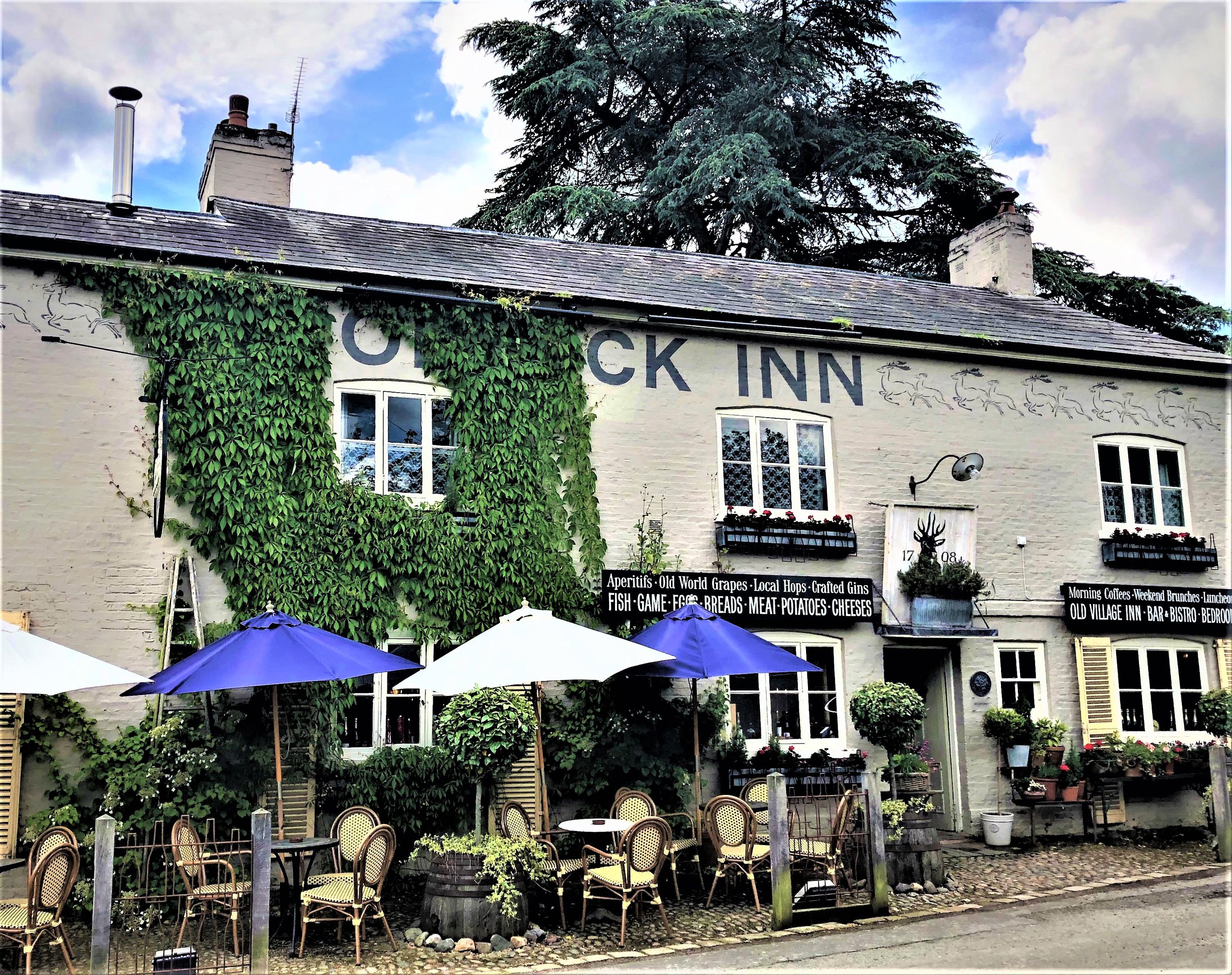 The Roebuck