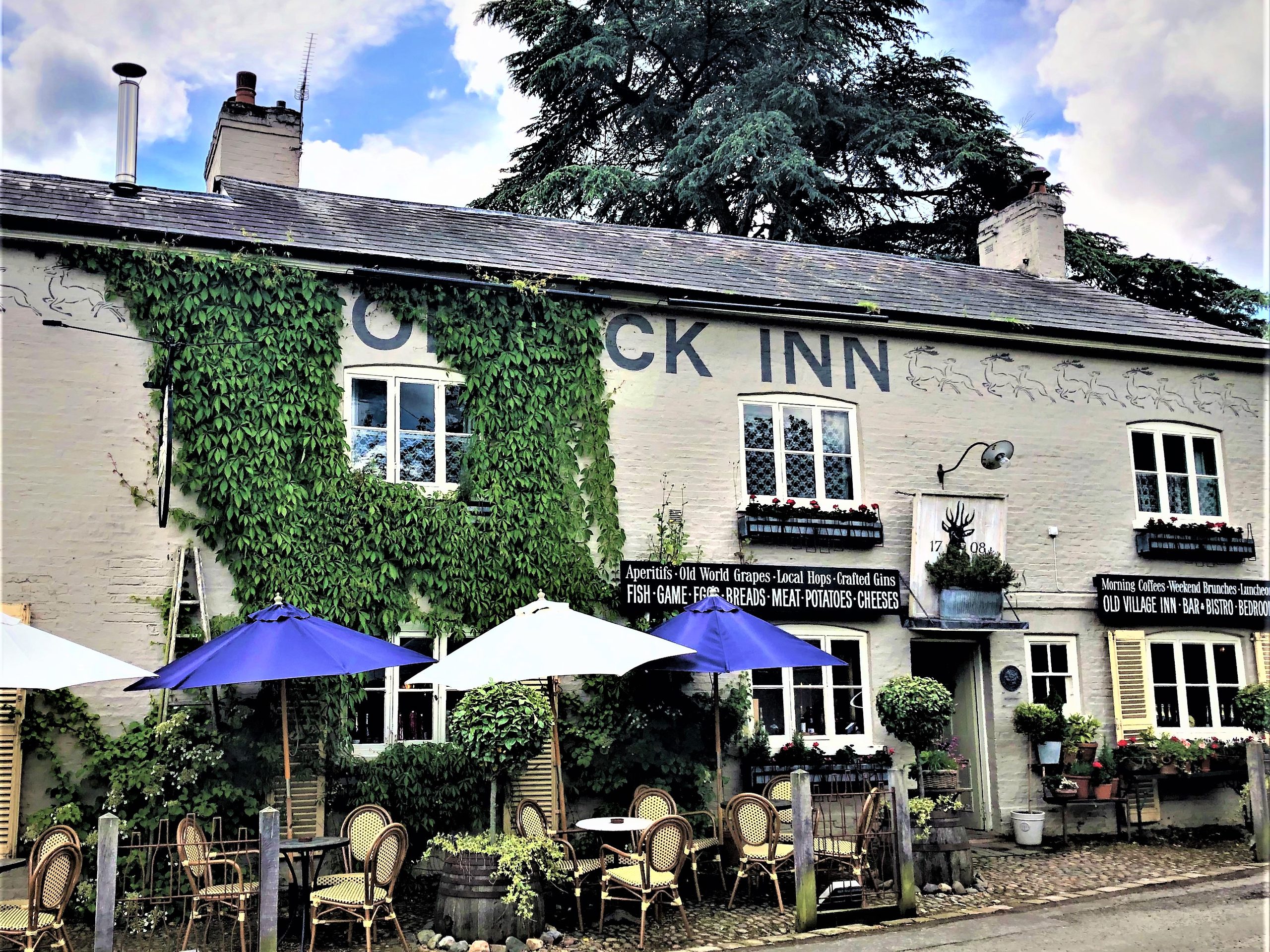 The Roebuck