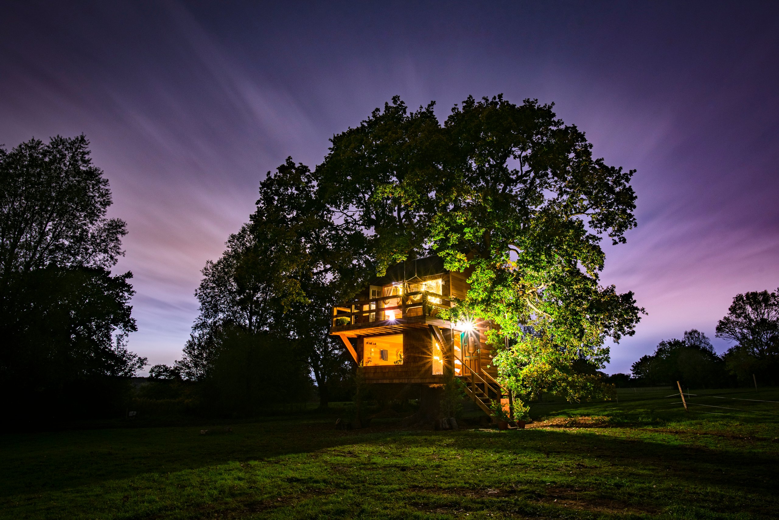 The Old Oak at Coleman's Farm - Image 1