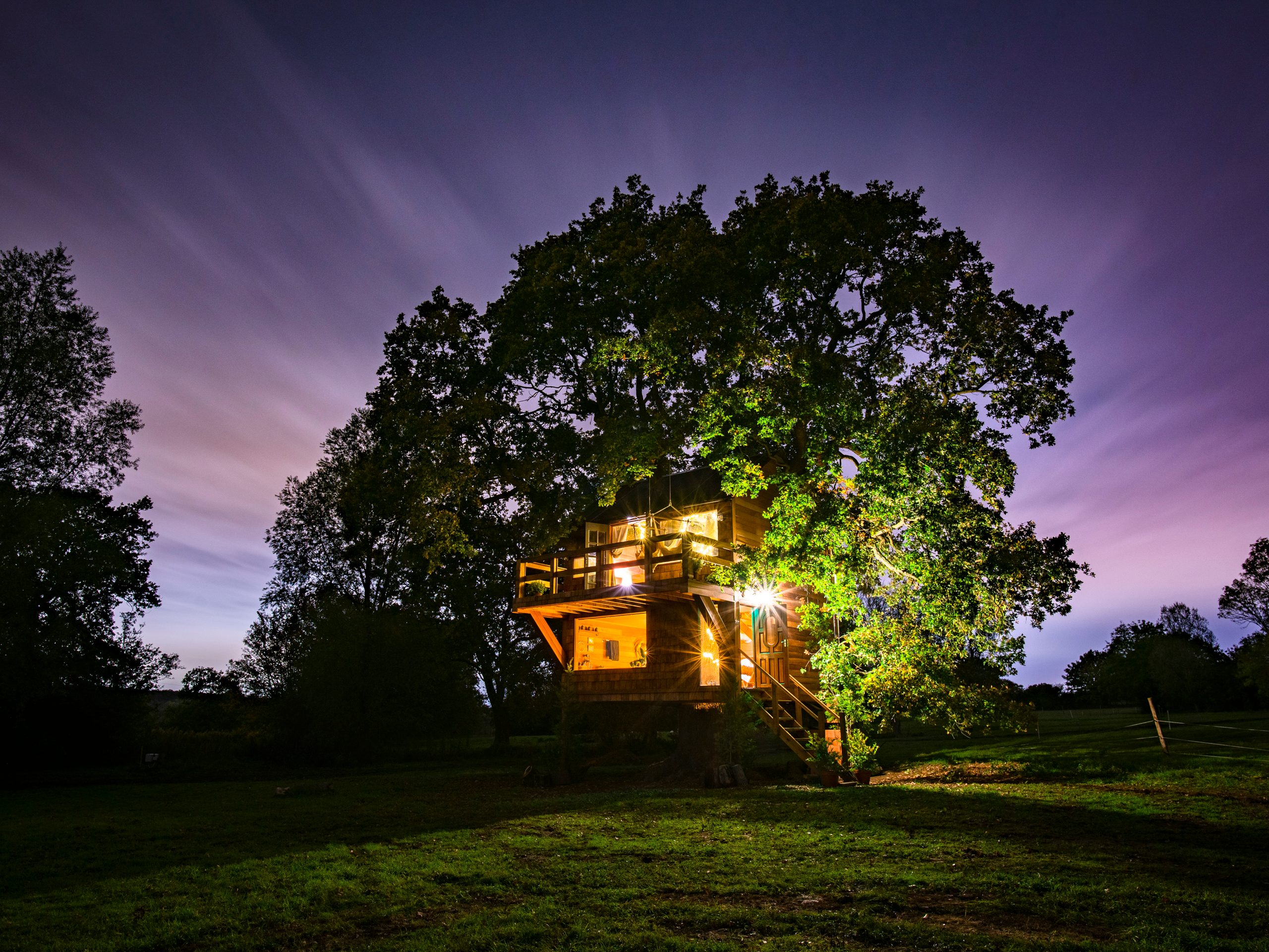 The Old Oak at Coleman's Farm