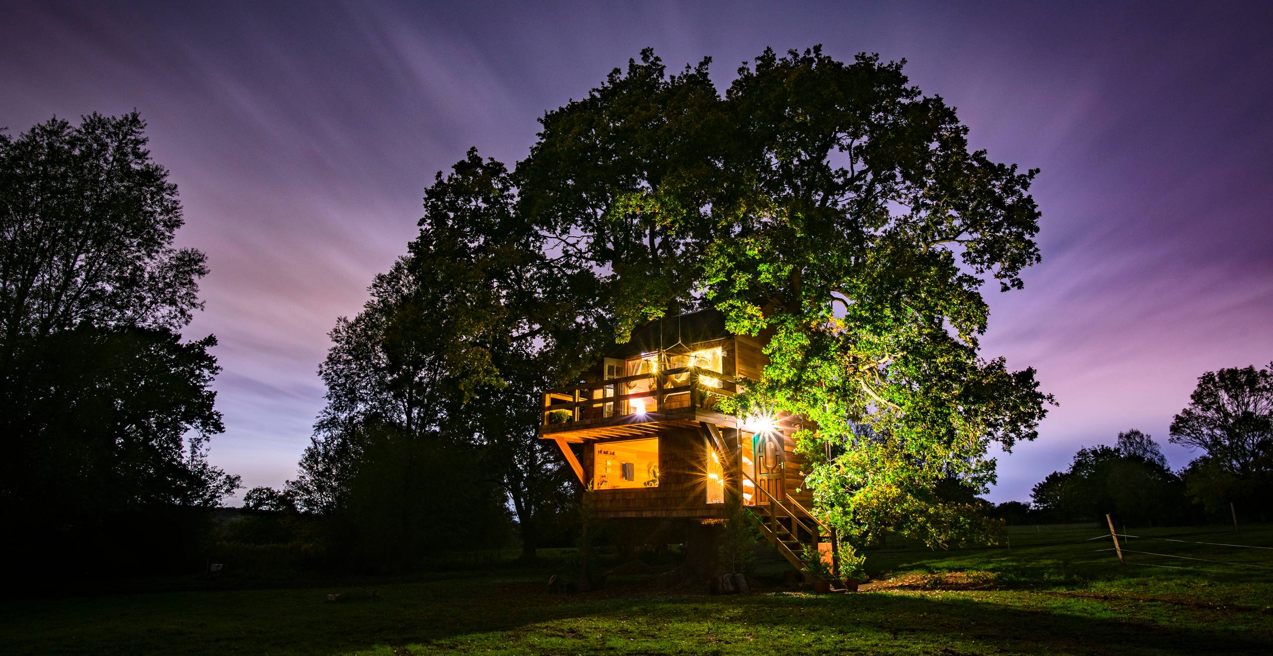 The Old Oak at Coleman's Farm