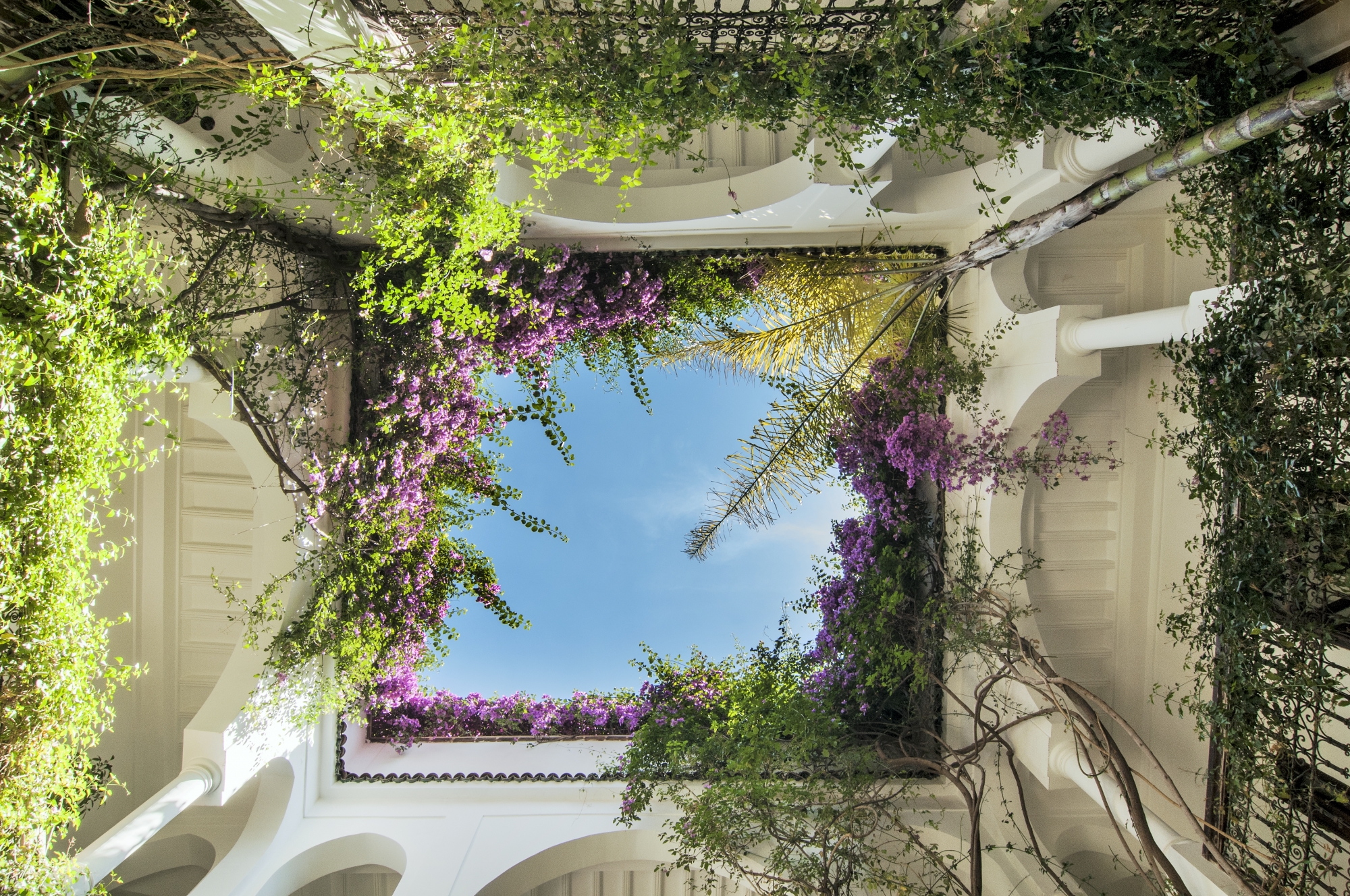 Riad Hayati