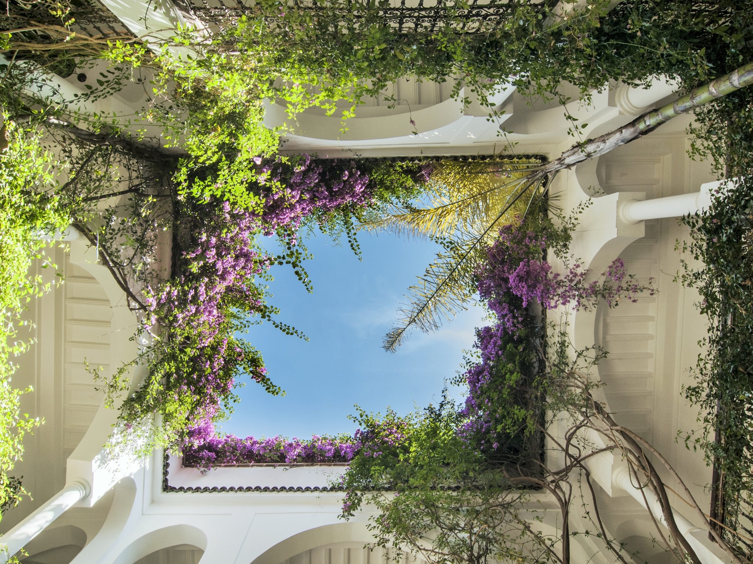 Riad Hayati