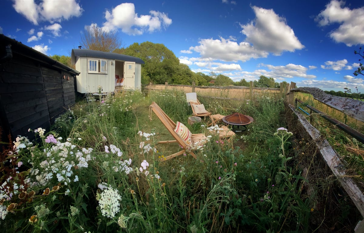 The Old Sheepfold