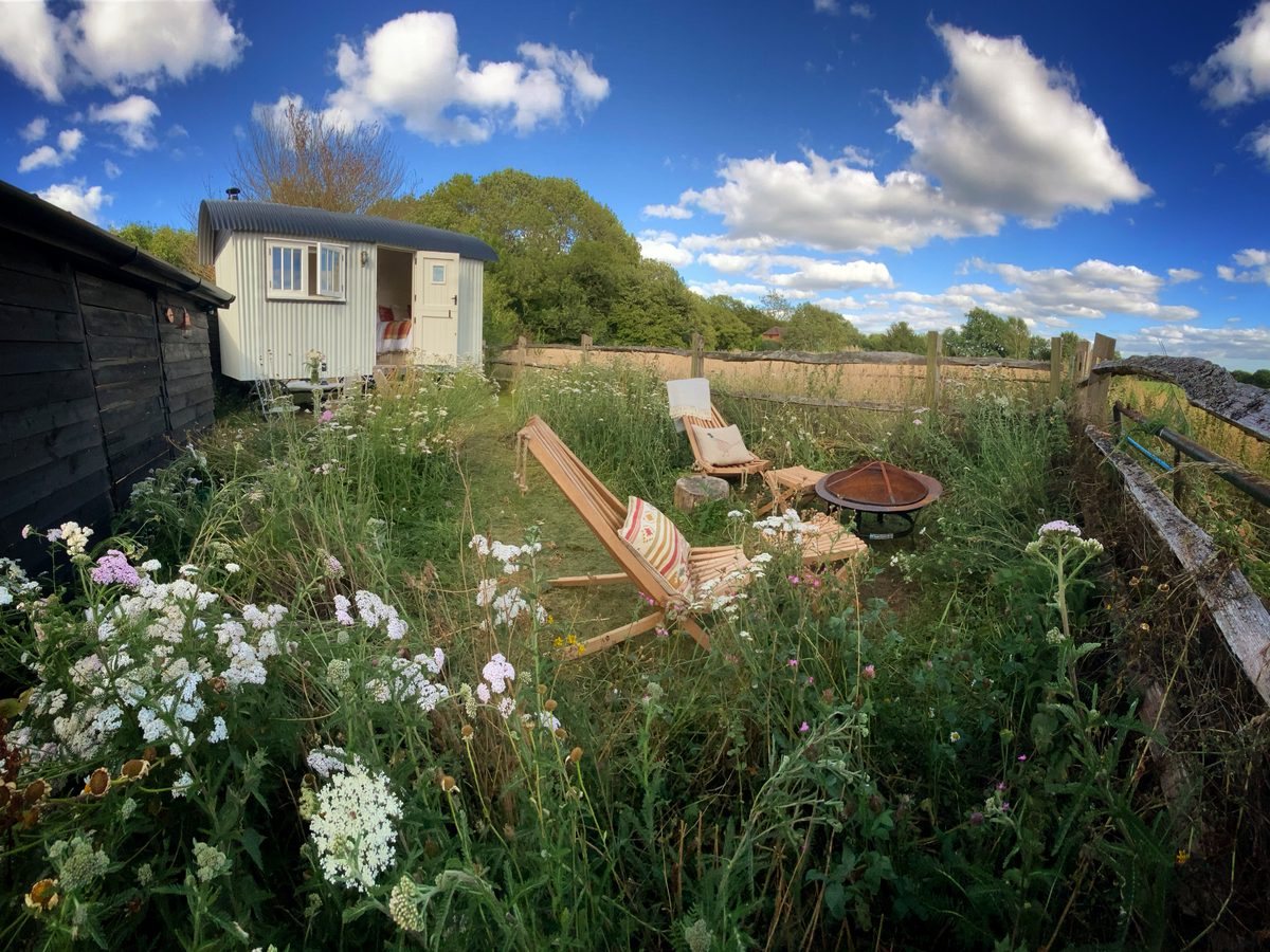 The Old Sheepfold