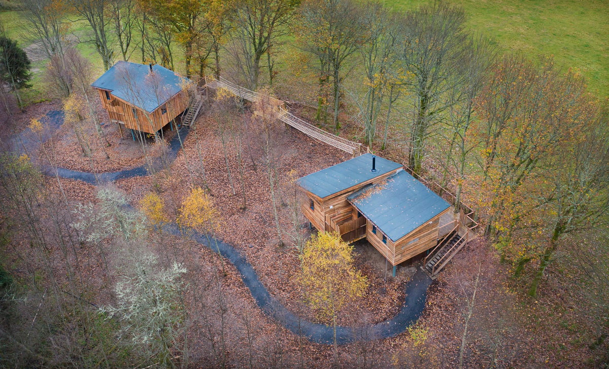 Flycatcher Treehouse at Lanrick
