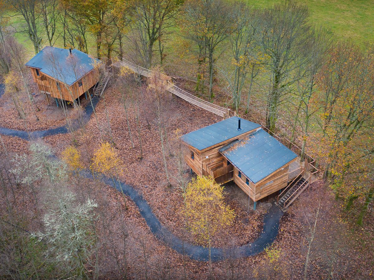 Flycatcher Treehouse at Lanrick