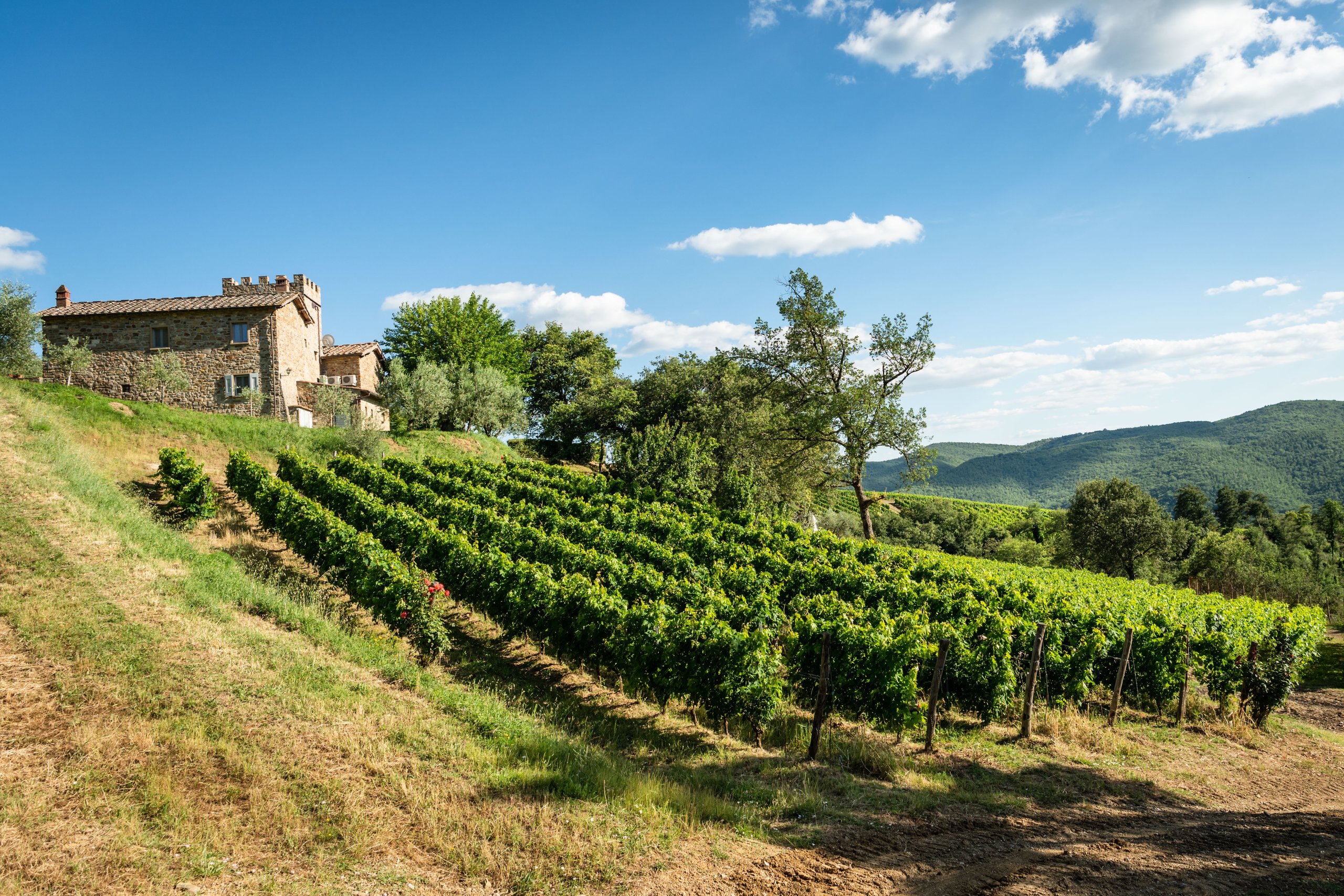 Villa Montemaggio