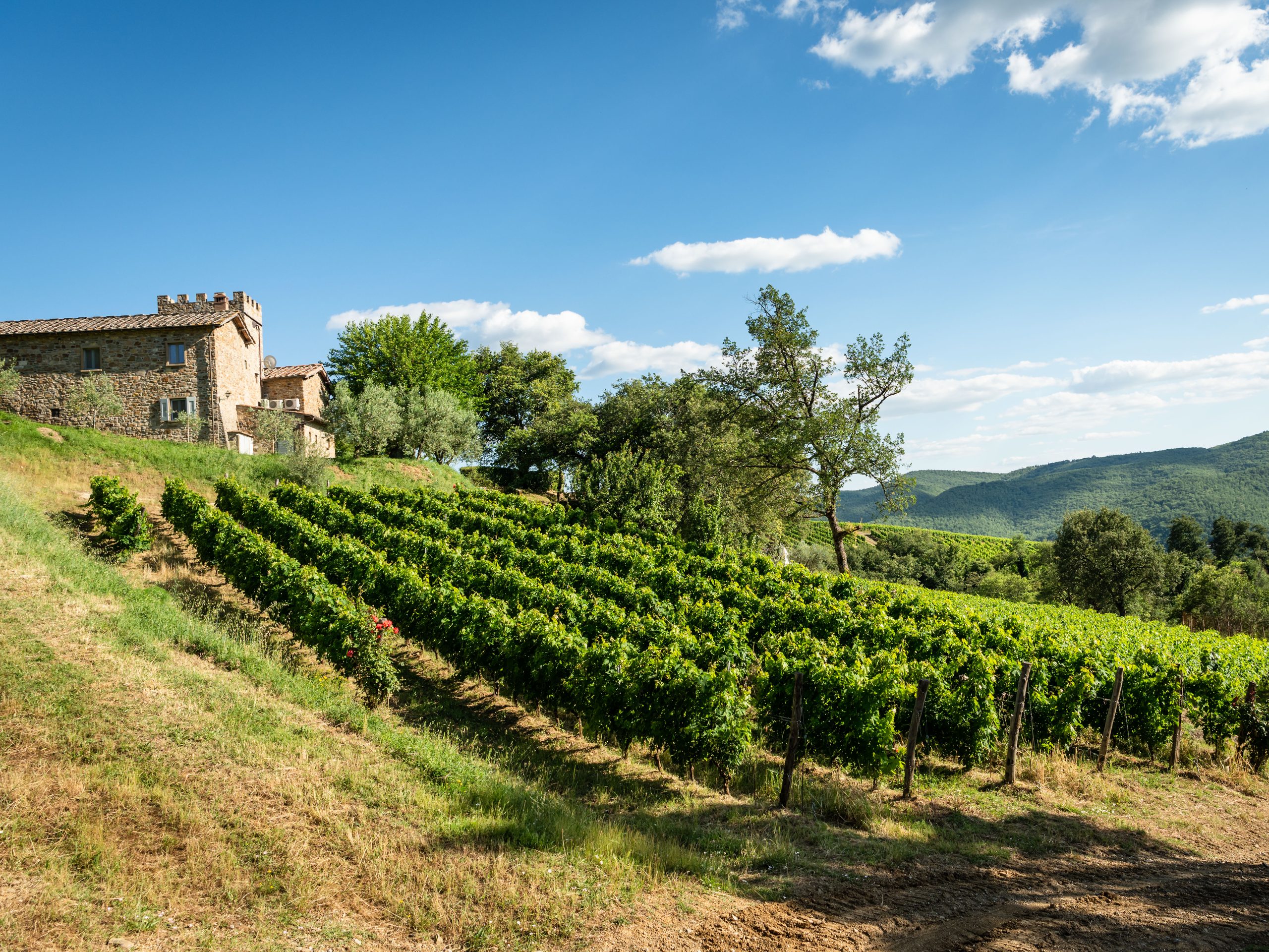 Villa Montemaggio