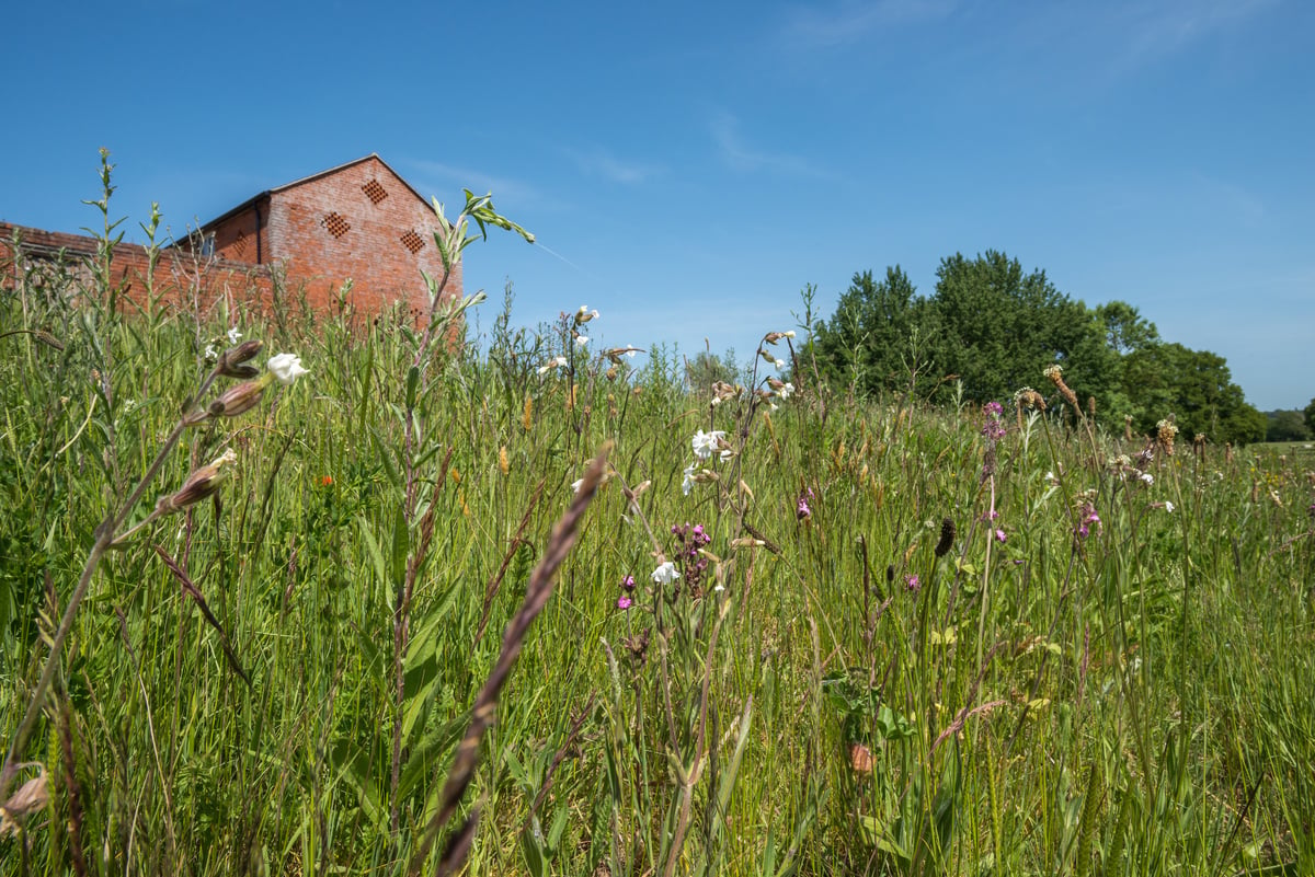 Hollins Barn