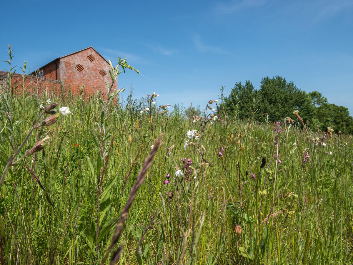 Hollins Barn