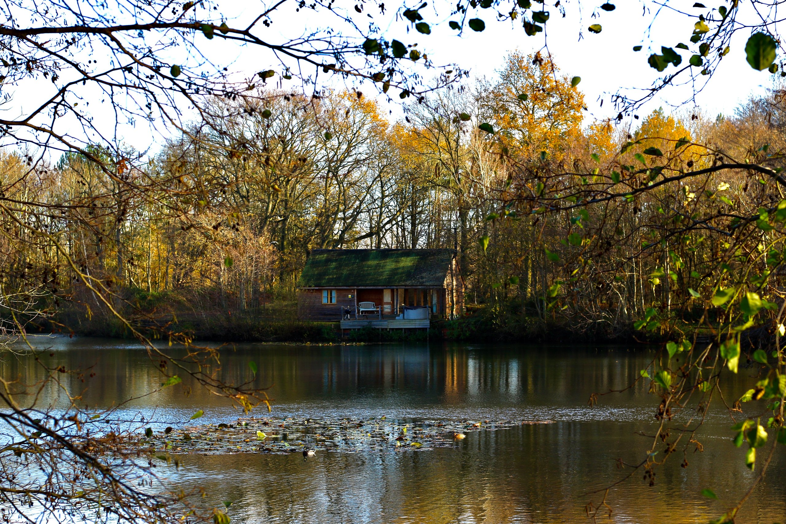 Water Lily Lodge