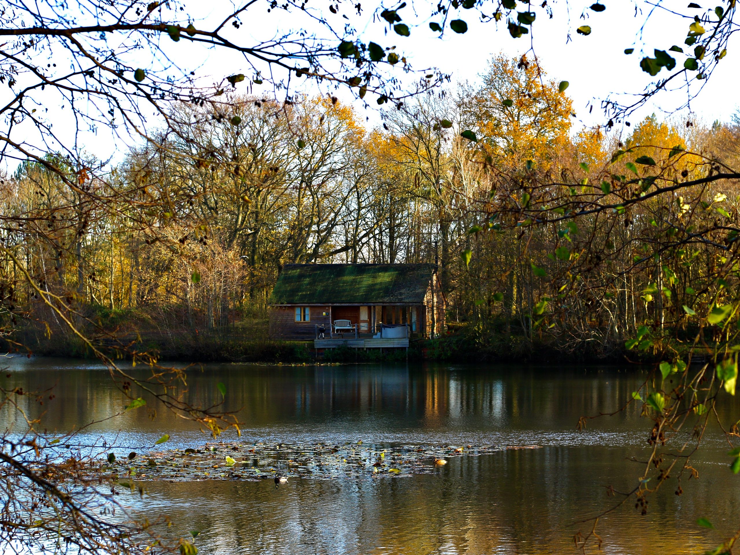 Water Lily Lodge