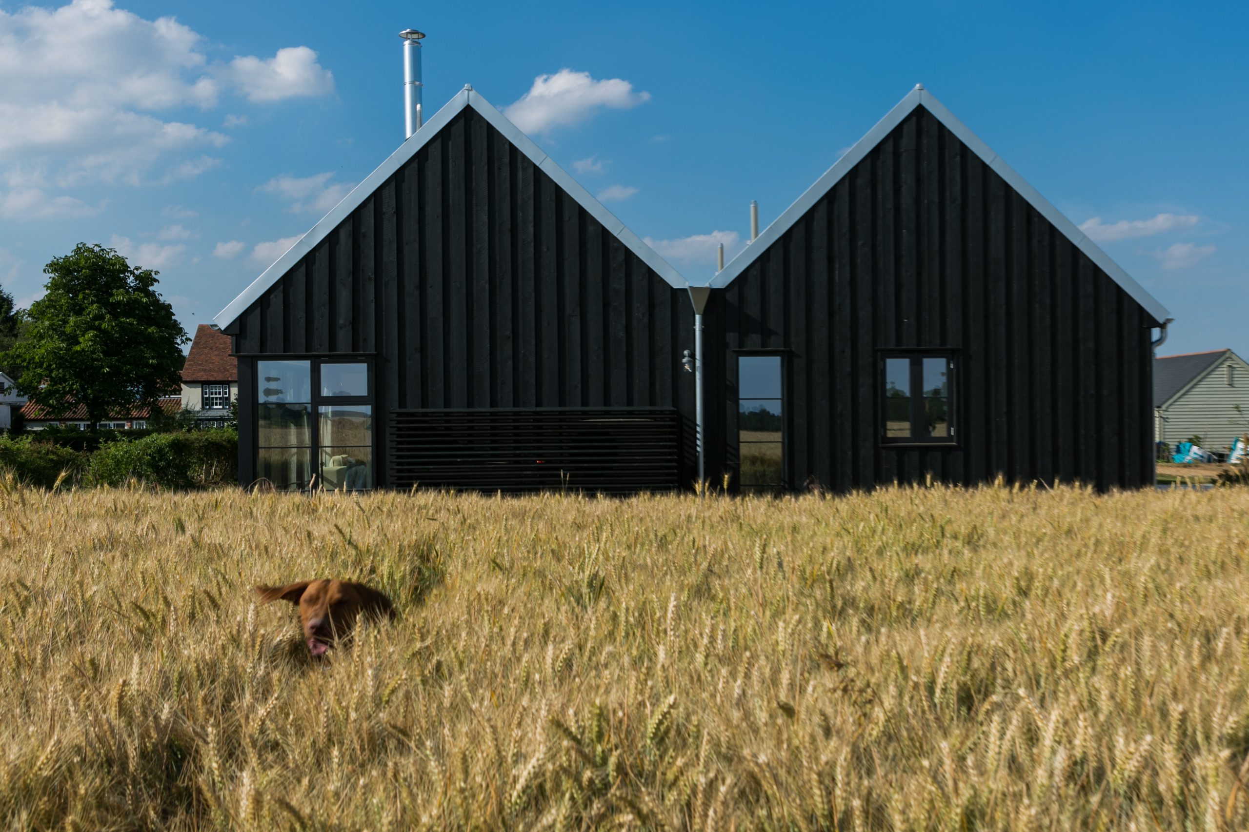 Woolmers - Image 1
