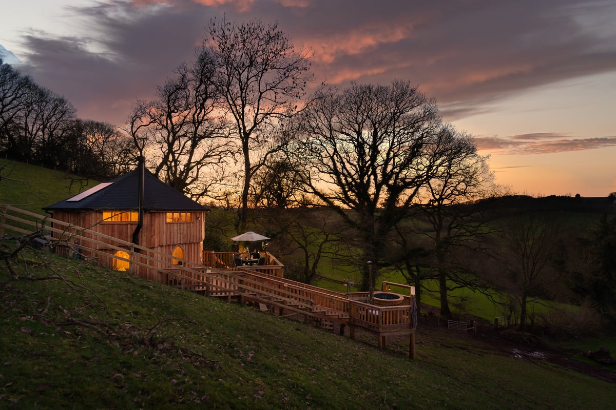 The Beehive Treehouse