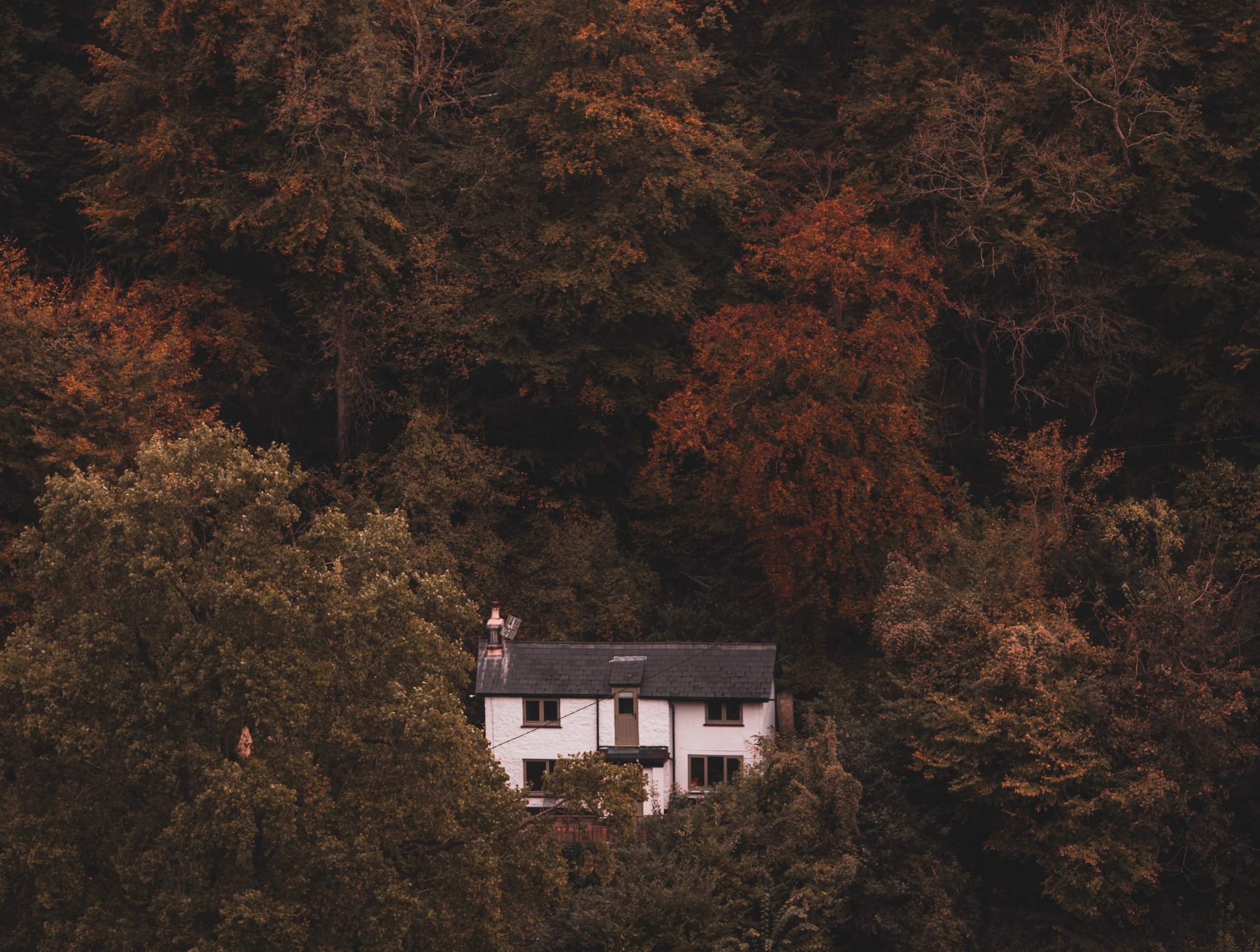 The Rapids Cottage